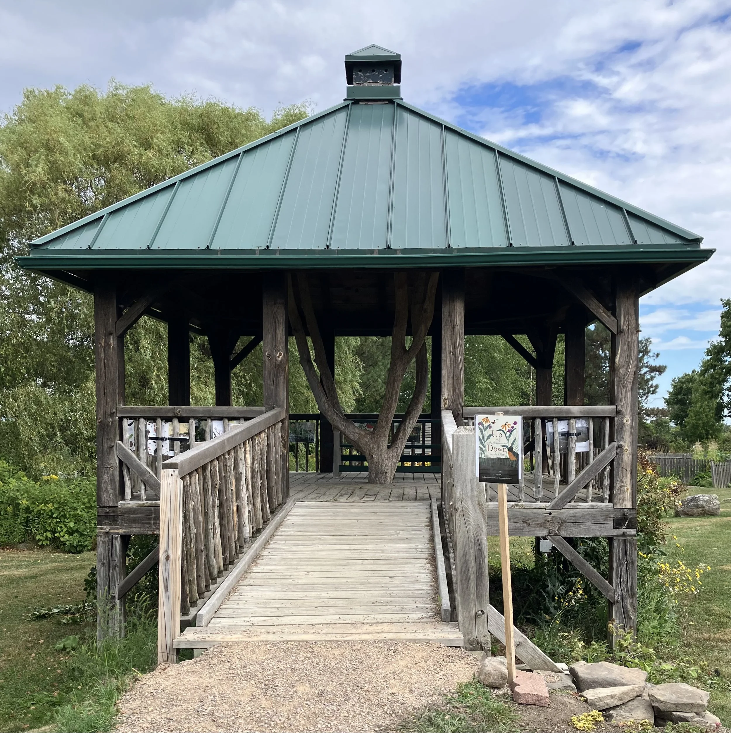 Look at What’s Happening at the Tree House!