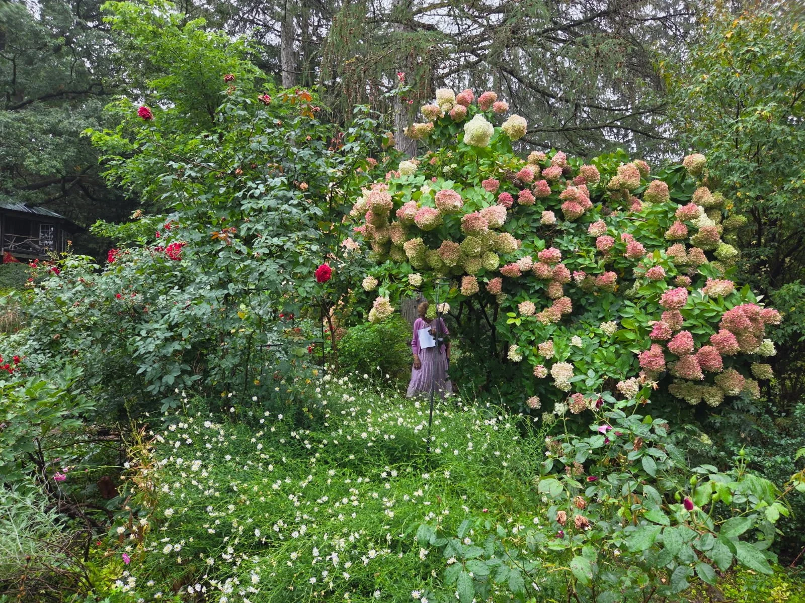 image000000.jpg