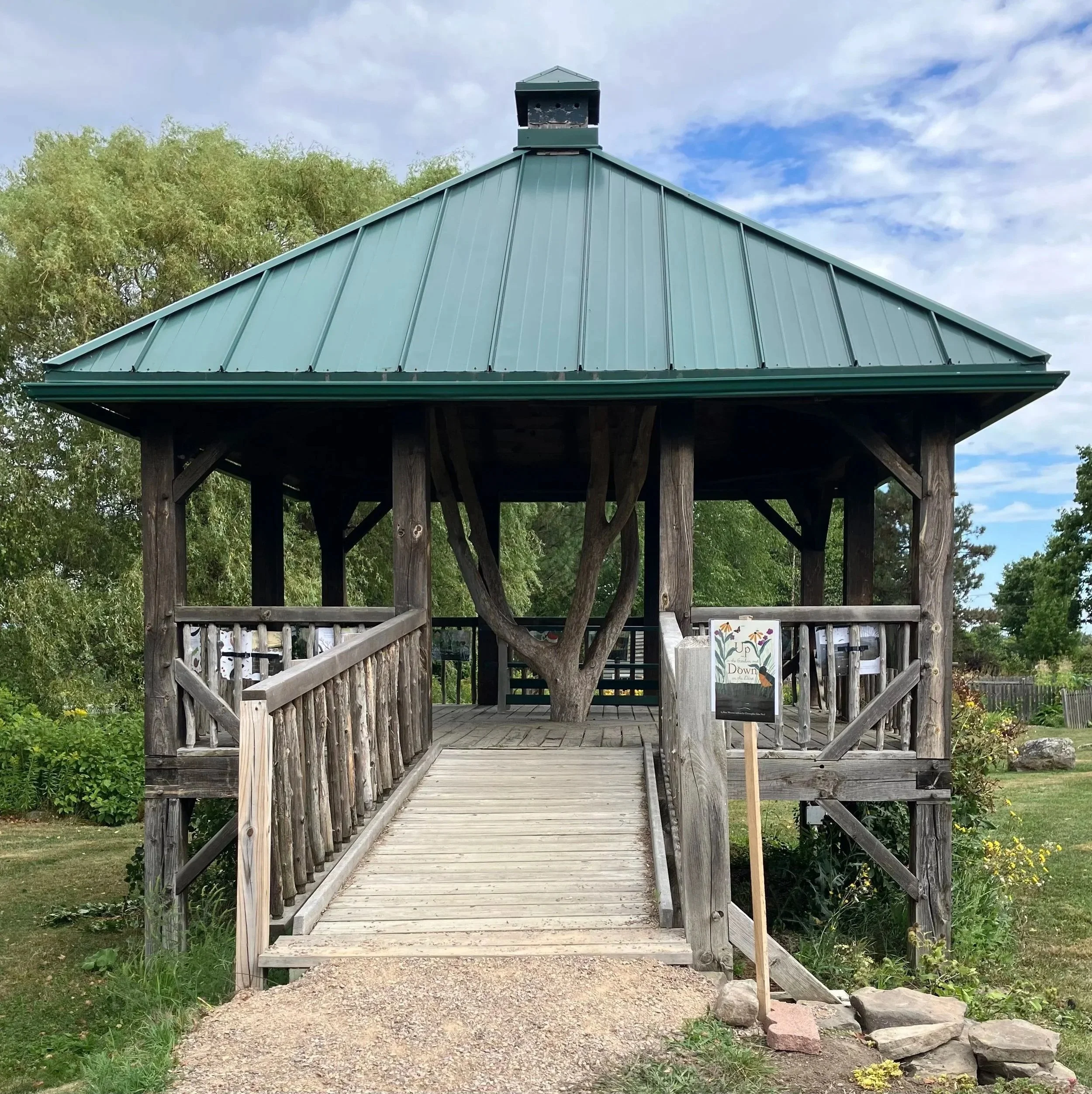 Look at What’s  Happening at the Tree House!