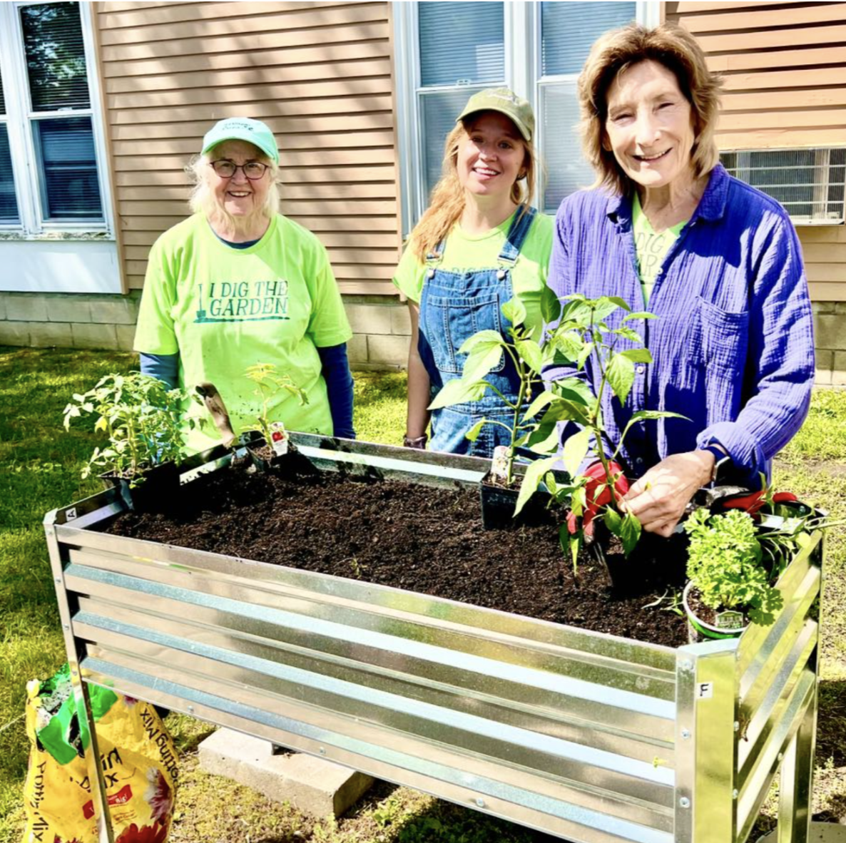 Planting at Birchwood