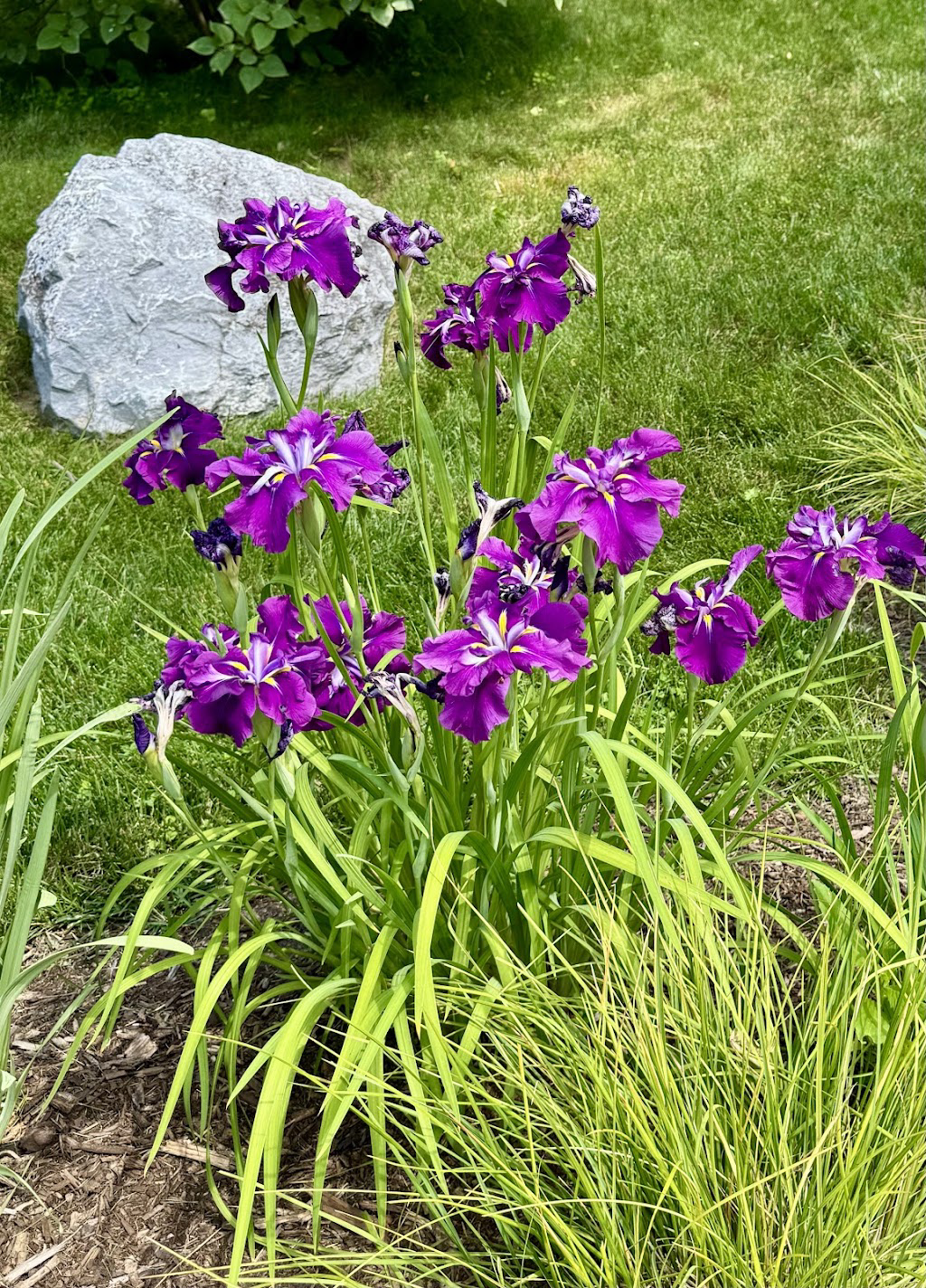 ~2026 Garden Tours ~ 