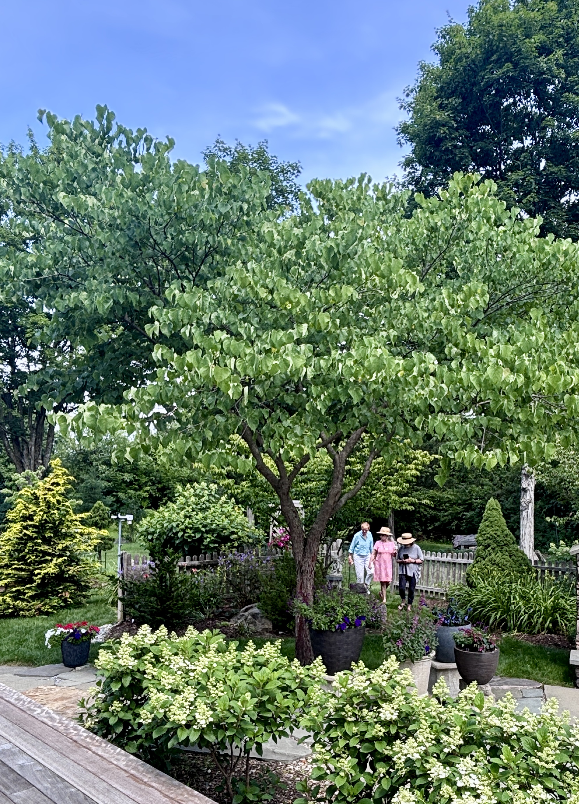 Image 3.png