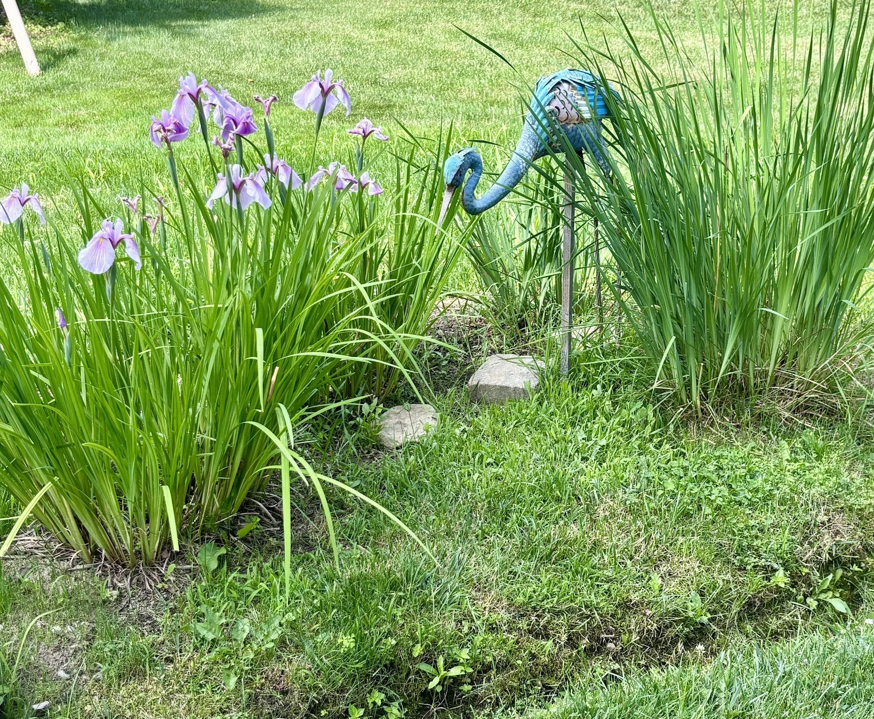 IMG_1811.JPG