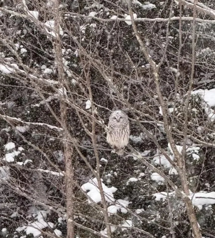 FGCV Overall Photo Winner by Margie Larson