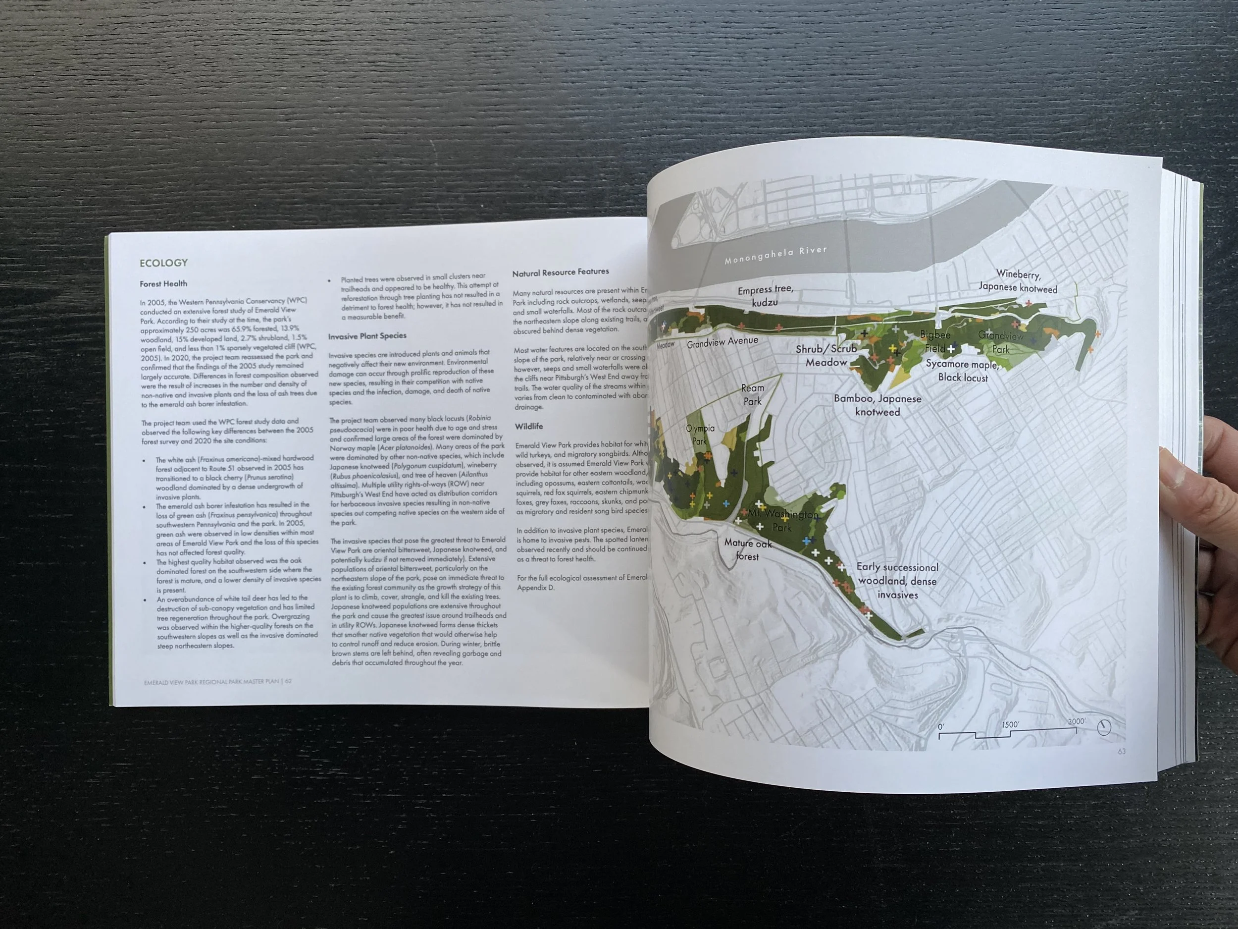 Photo Feb 26, 10 25 28 AM.jpg