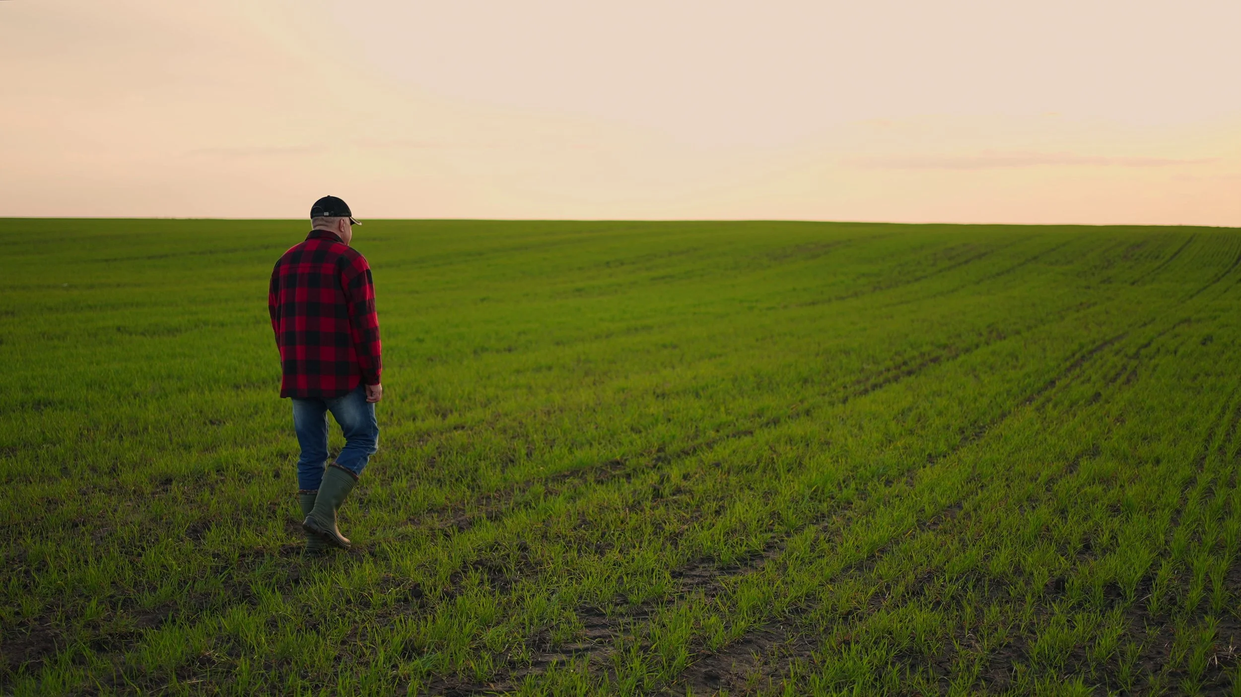 A man wearing a black cap, red and black checkered shirt, blue jeans, and green rubber boots walks across a lush green field at sunset.