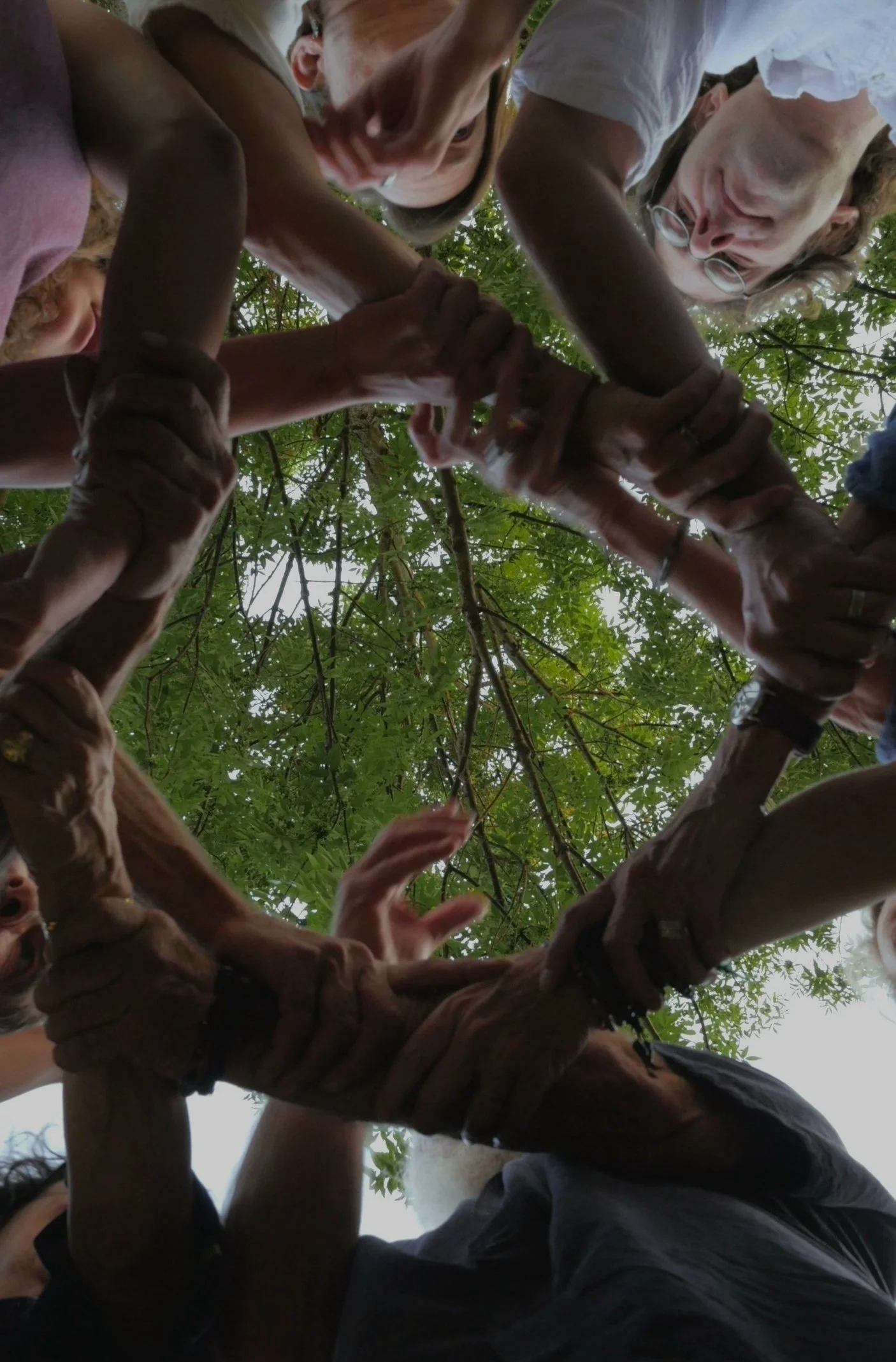 People forming a circle with their hands and arms, holding onto each other's wrists and forearms, viewed from below against a leafy tree canopy.
