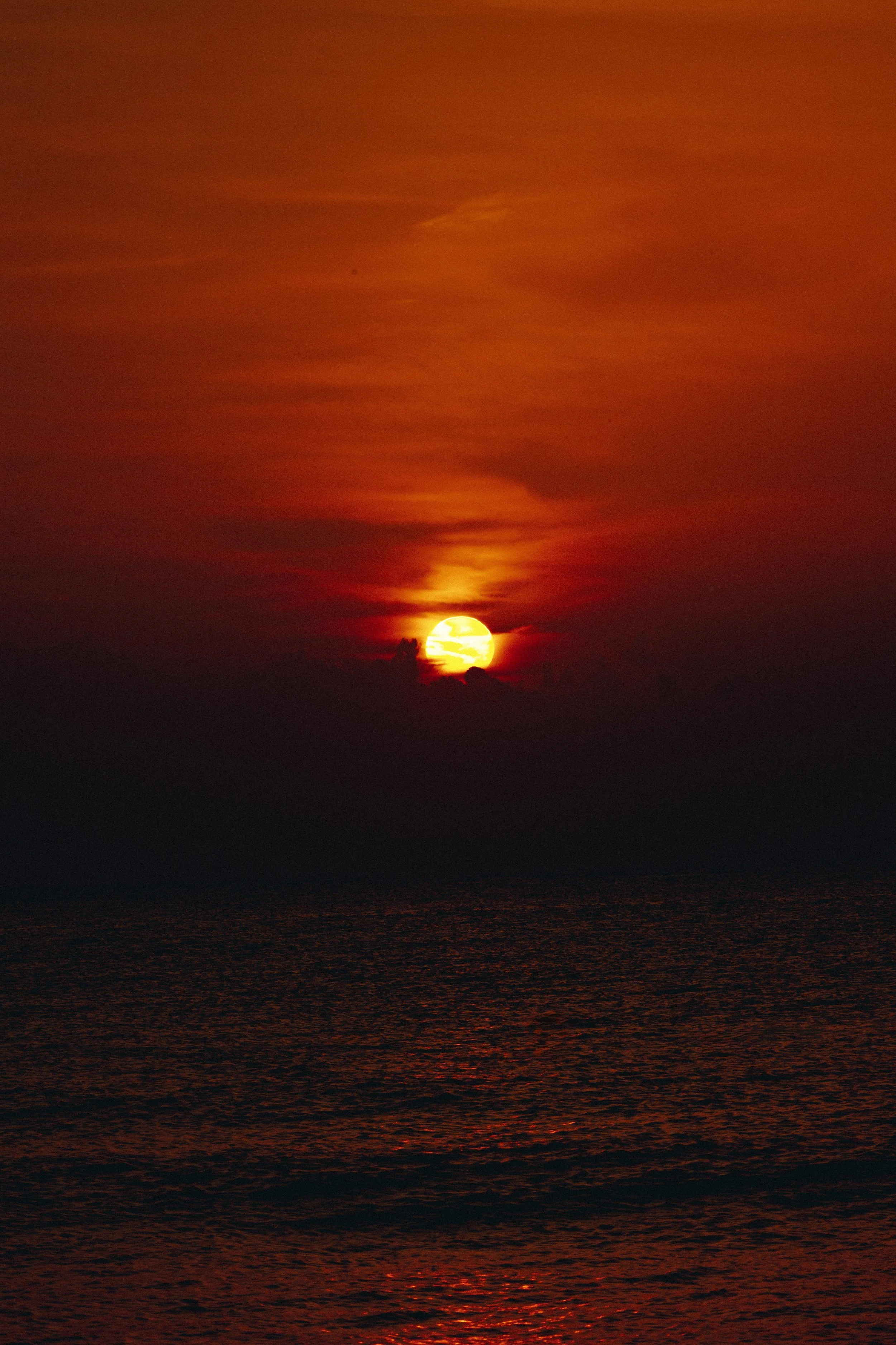 PSNC7099.JPG