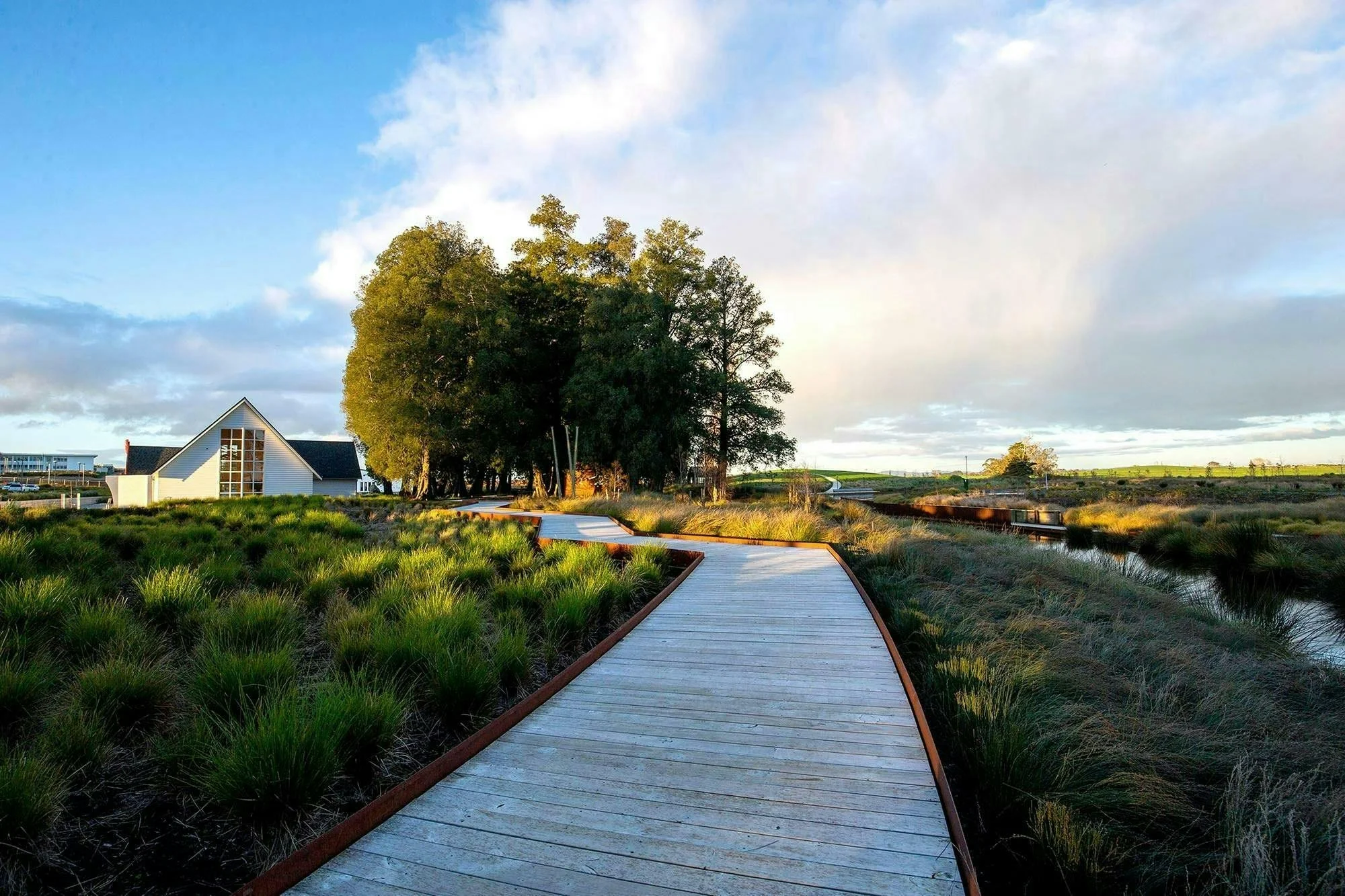 Temple-View-Masterplan_Masterplanning_Construkt-Architects_Auckland_Boardwalk-2.jpg