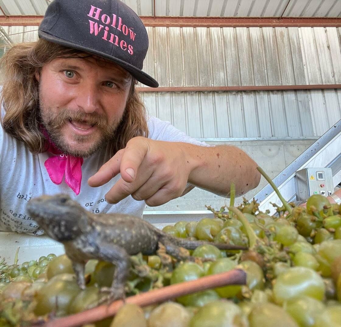 Winemaker Event: HOLLOW WINES