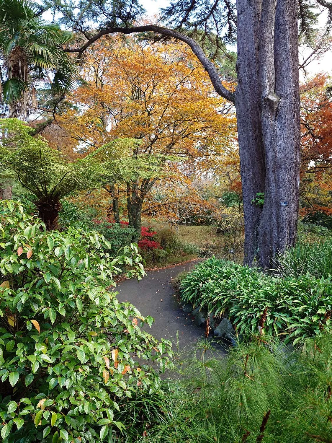Botanical - Wgtn