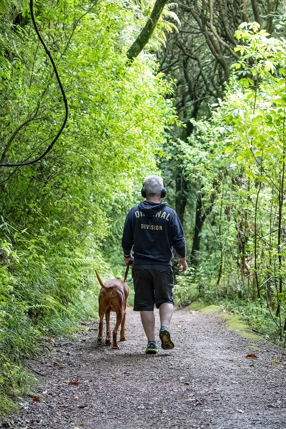 Walk the dog - Mt Kaukau