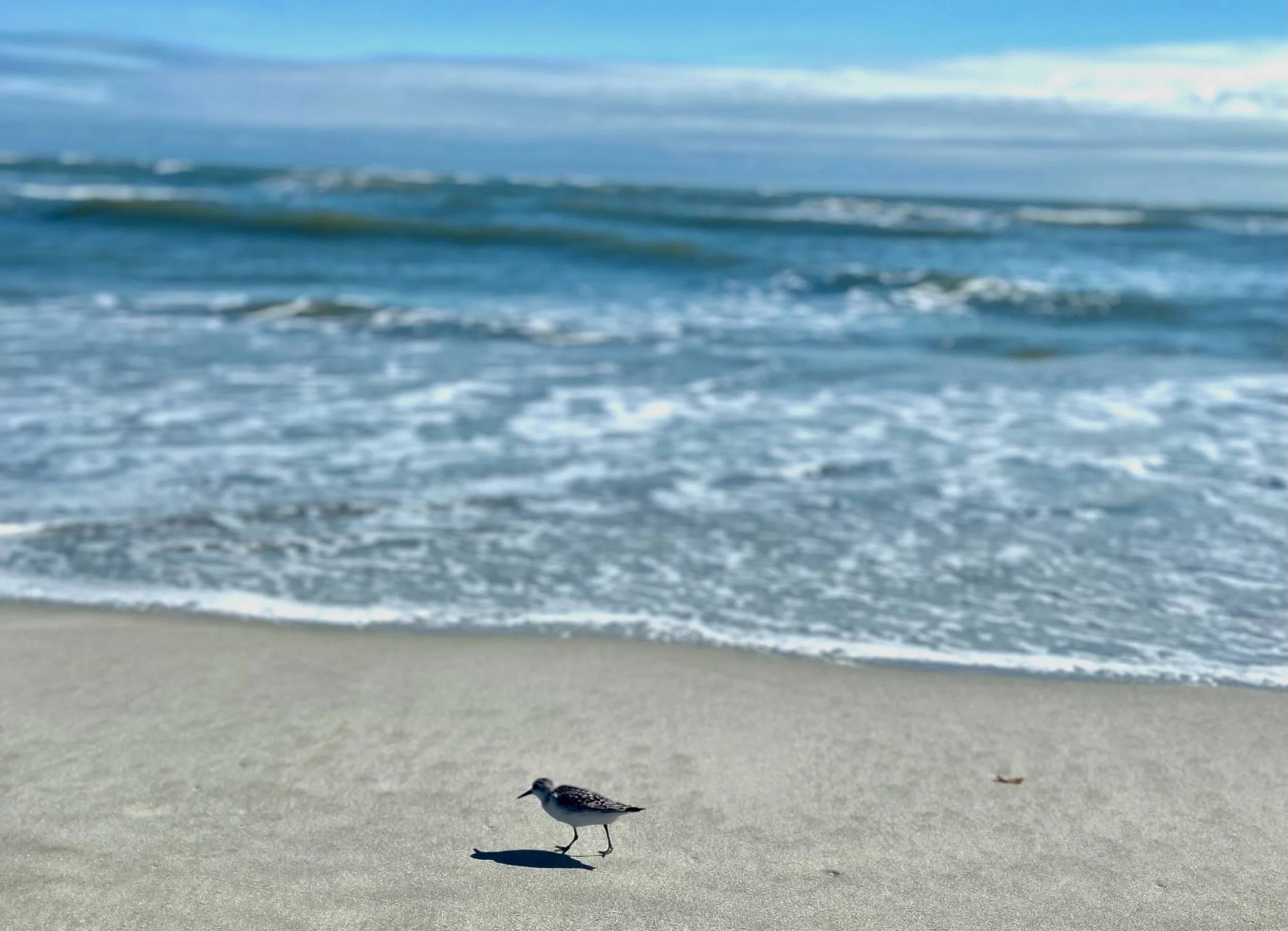 At The Edge of a New Adventure