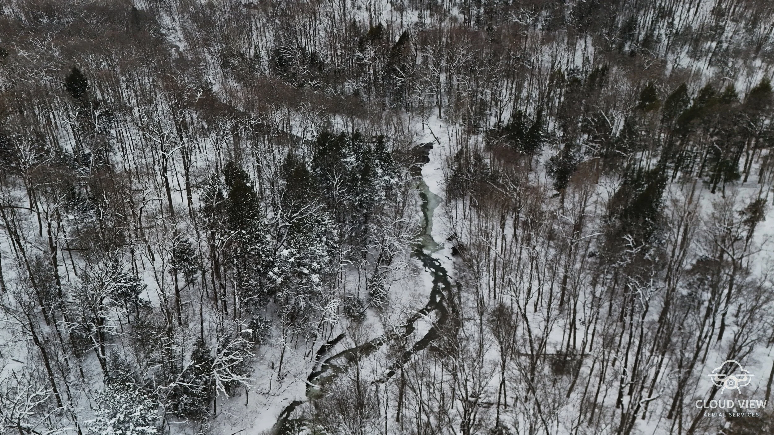 Fall Winter watermark.jpg