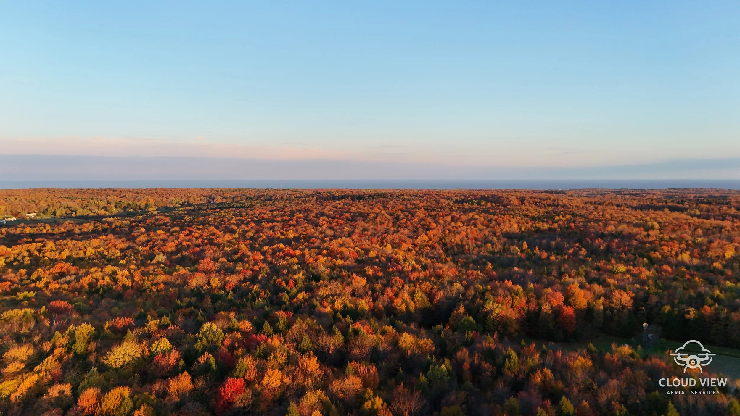Fall Trees Horizontal watermark.jpg