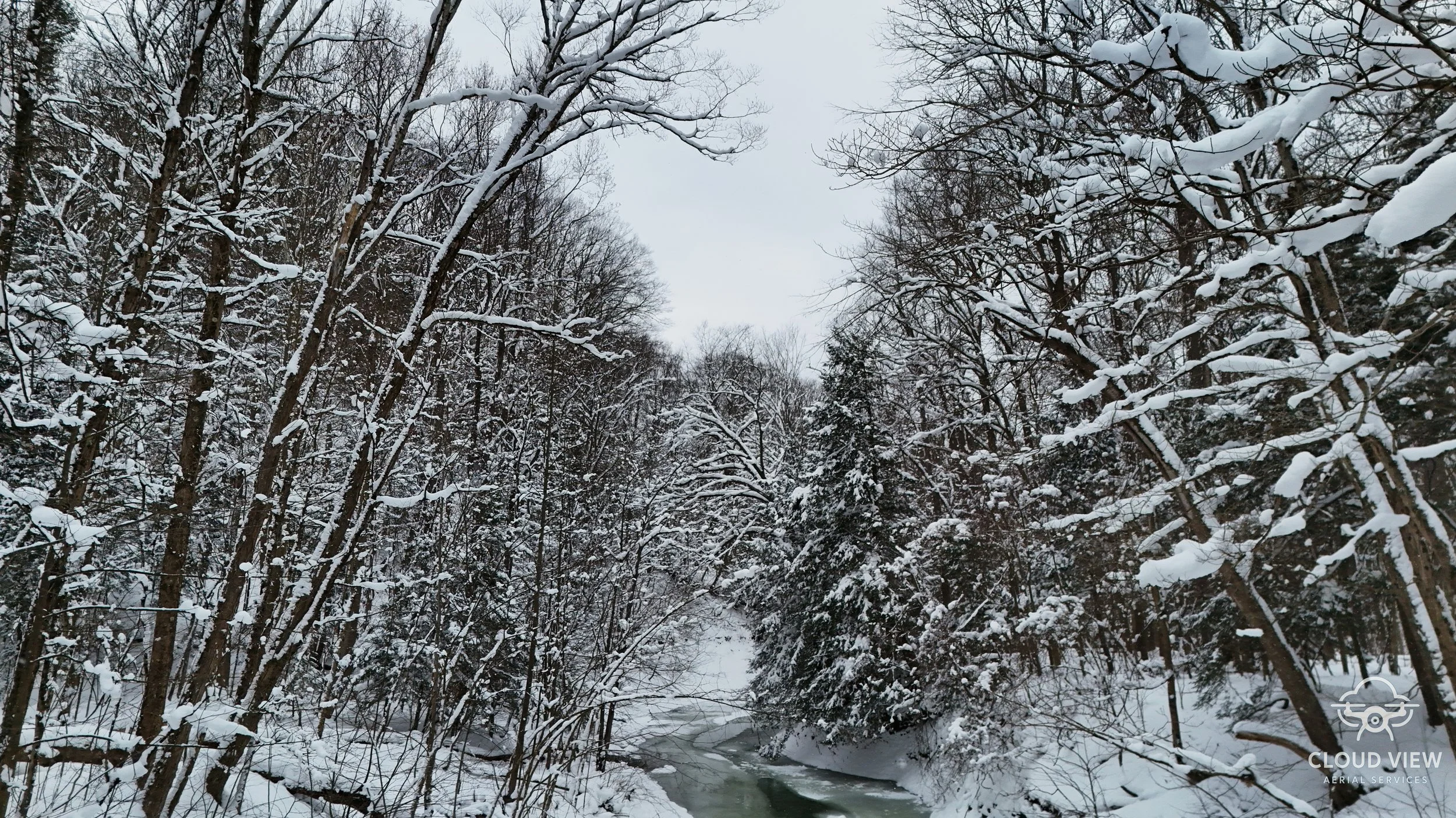 Winter Creek Horizontal Watermark.jpg