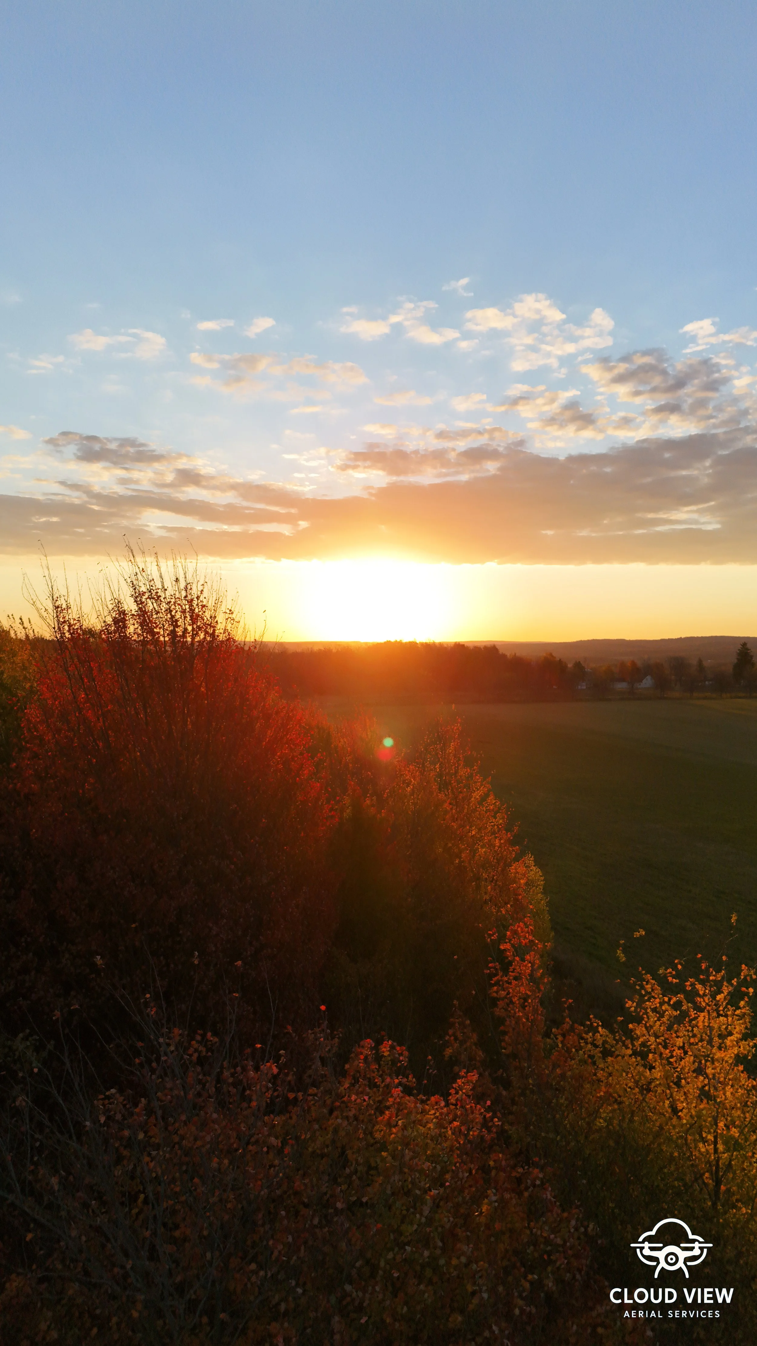 Tree Sunrise Watermark.jpg