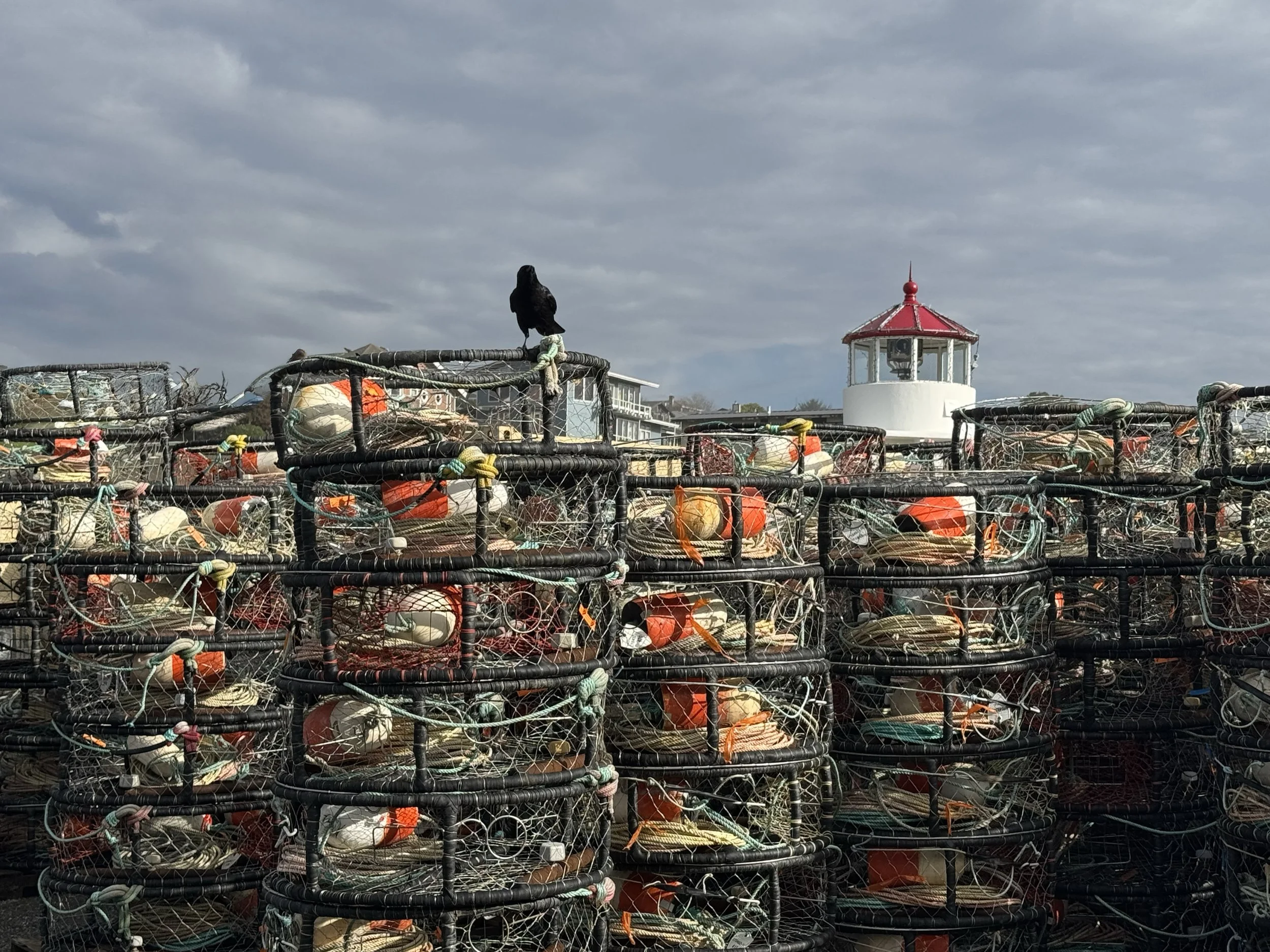 crab pots copy.jpg