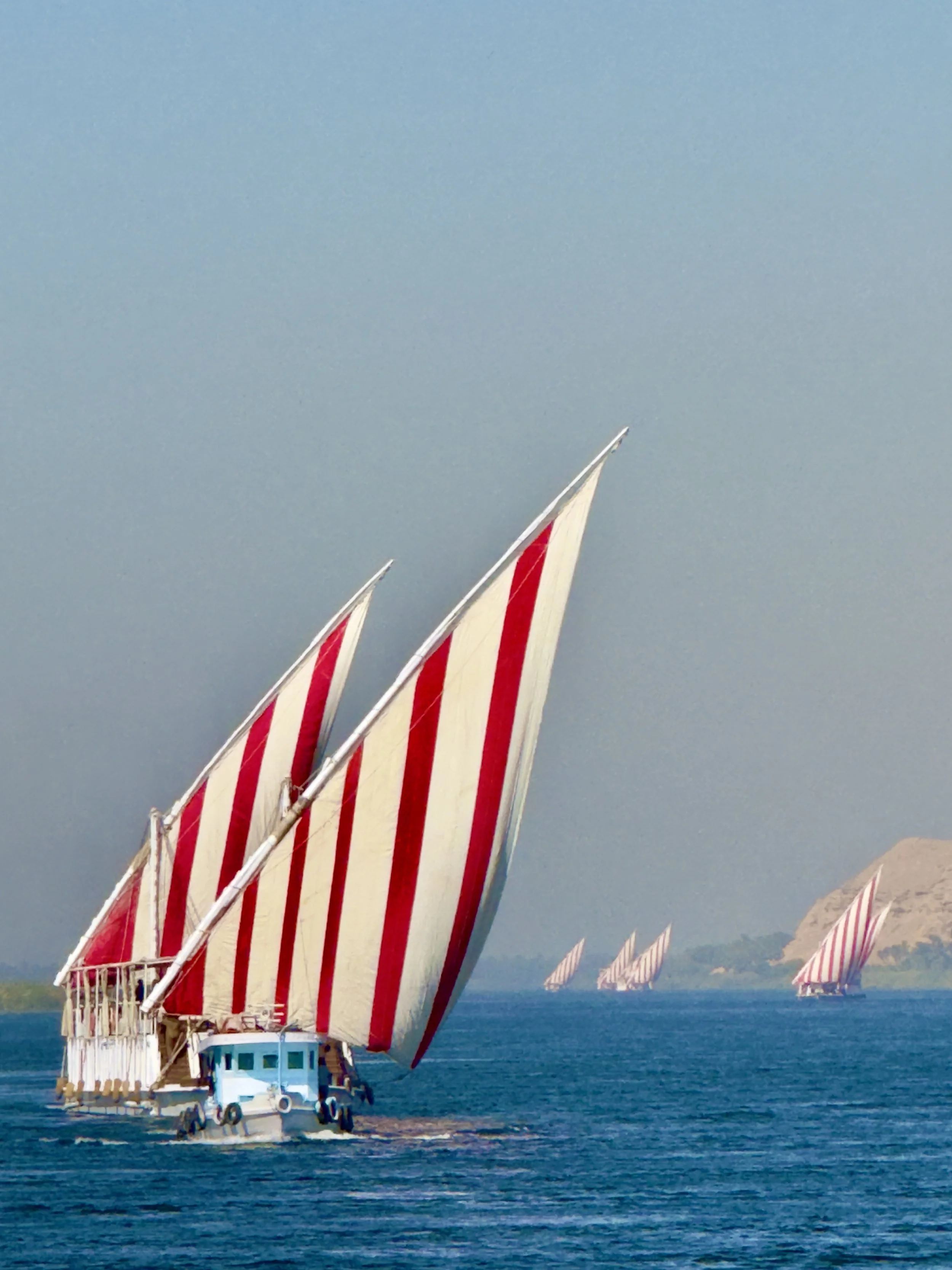 JPEG image-2C4FA80D1459-1.jpeg