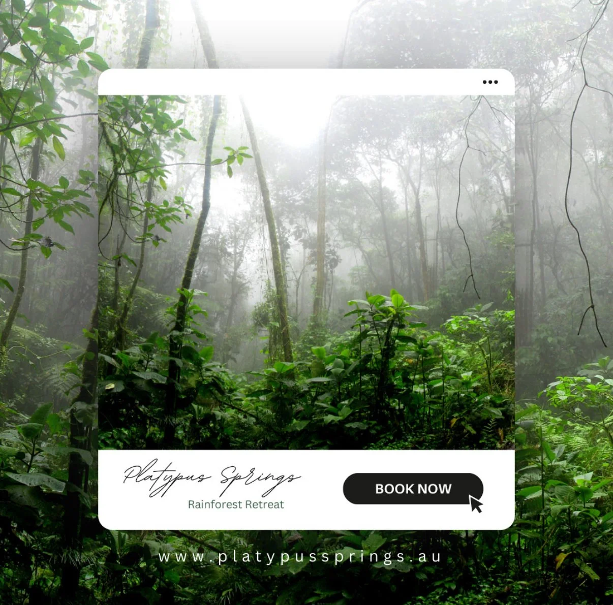 Platypus Springs Rainforest Retreat