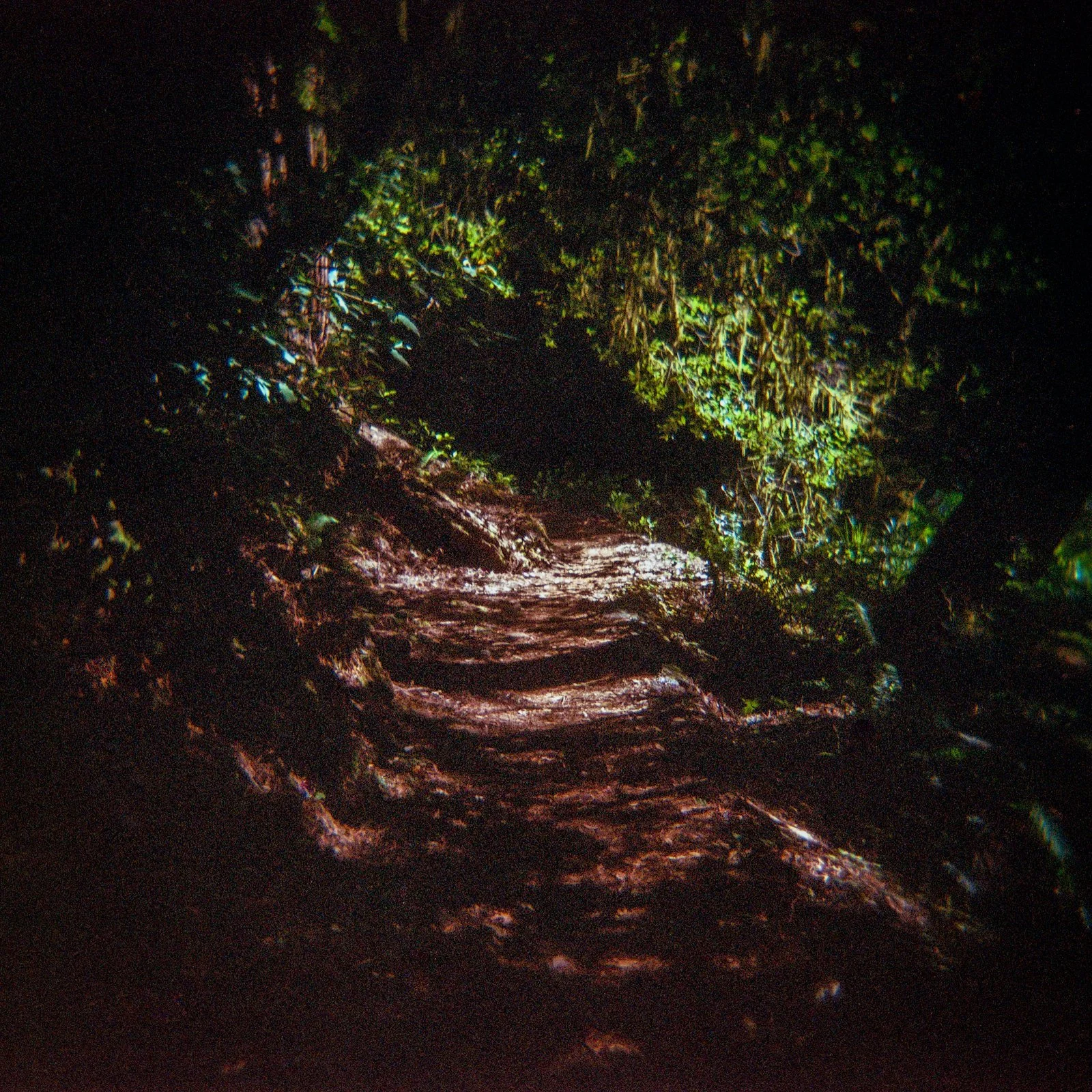 pc_H_Color_RW.18x18.2-7.jpg