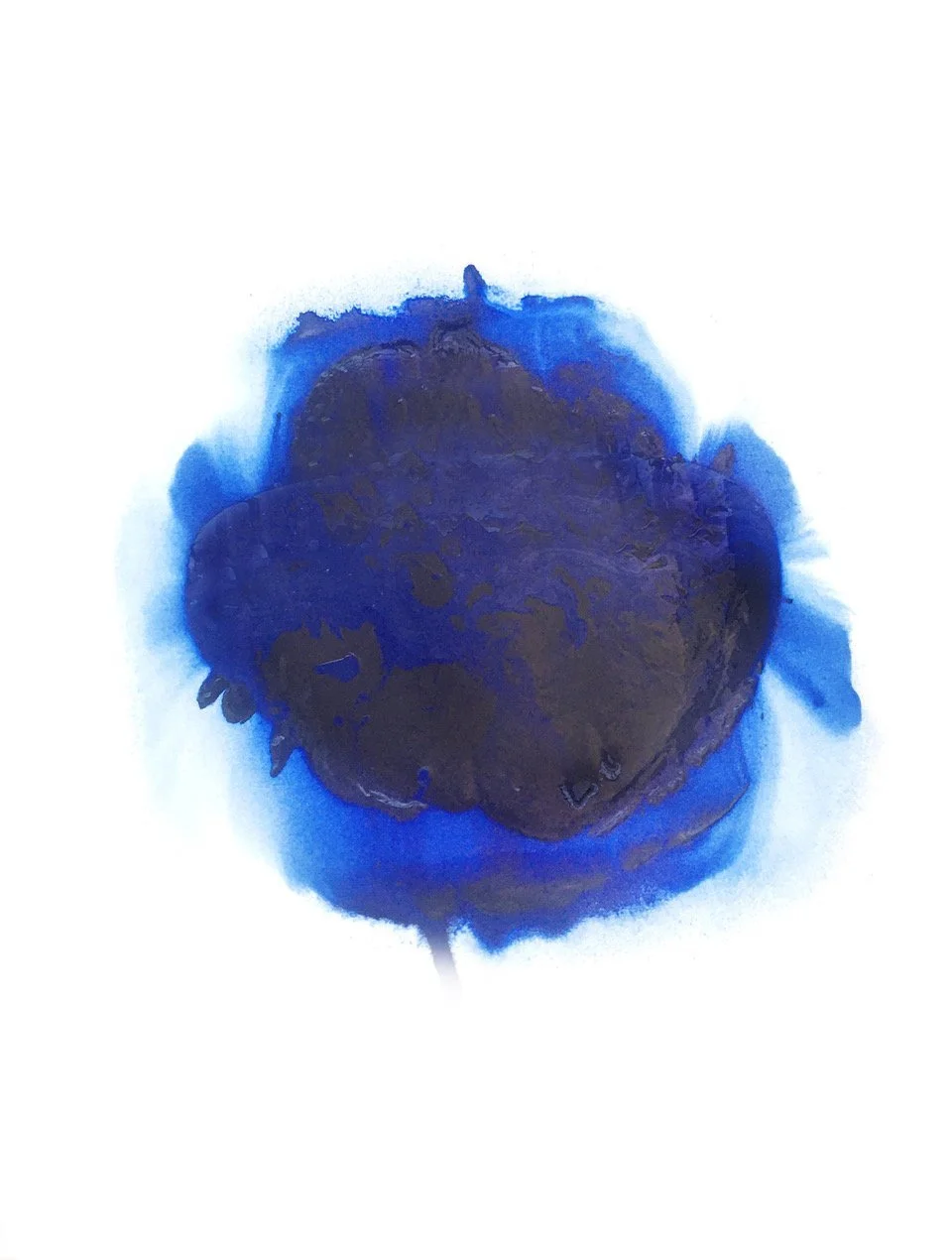IMG_7601+blue+circle+no+drip+c.+Toni+Scott+copy.jpeg