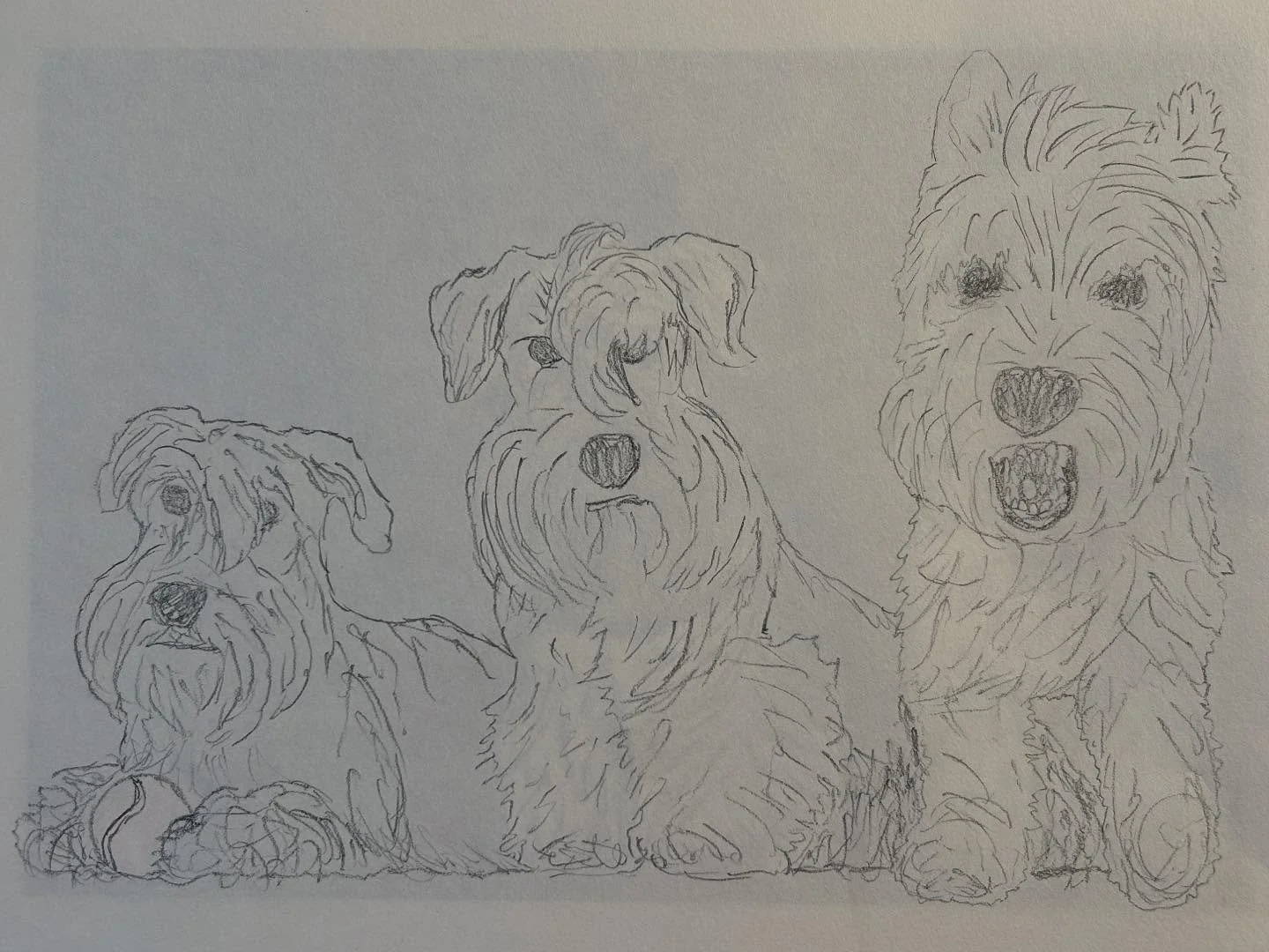 some beautiful little puppers commissioned by my good friend @_beccahartman, so happy with how this piece came out. want me to do something similar for you? just reach out 💕