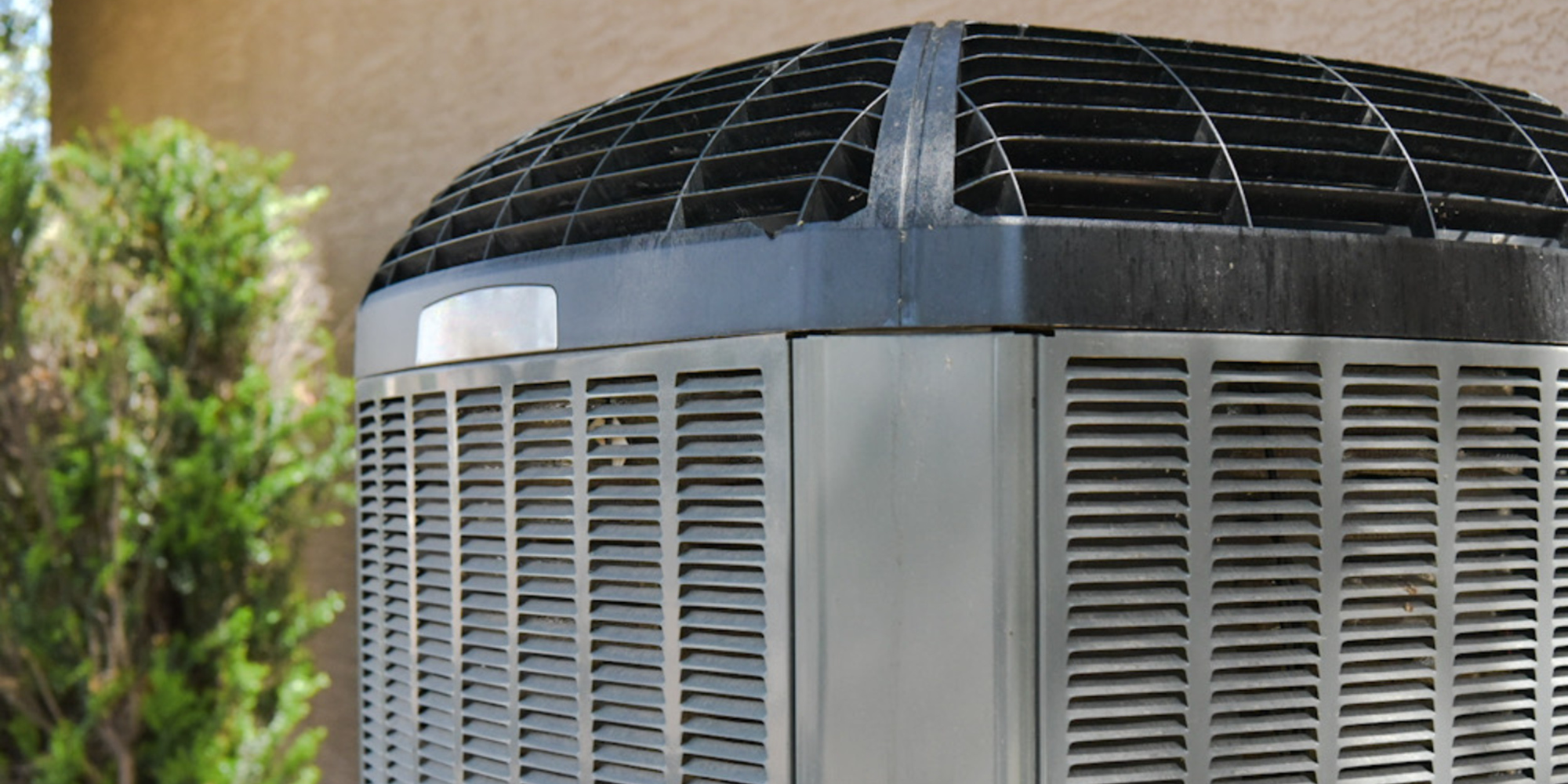 The "First Start" Anxiety: A Pre-Summer Test Drive