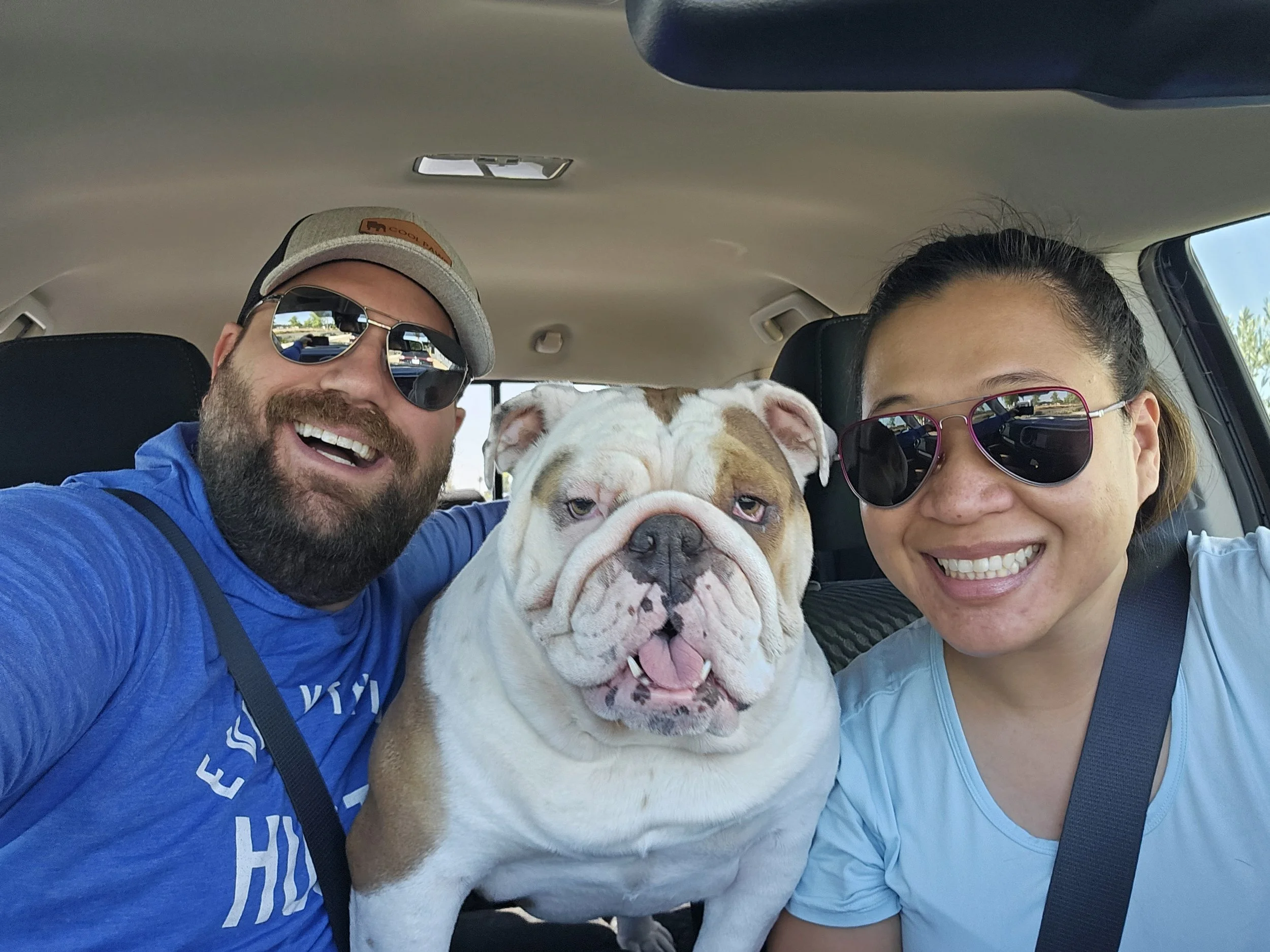 A smiling man and woman pose inside a car with a happy bulldog between them.