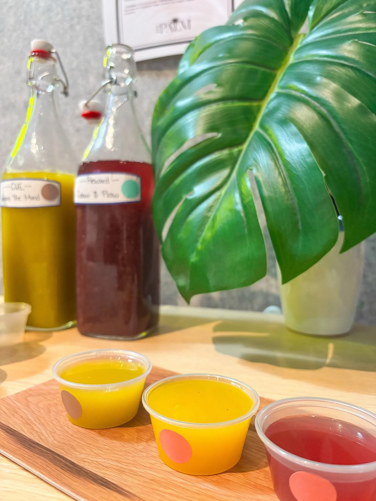 Guess what opens in PCB today?!?
@thepalmpcb 🌴
We were lucky enough a few weeks ago to get an early tasting of their amazing creations. 🍊🍍🥭🍋&zwj;🟩

We will be heading over to grab some juices 🥤this afternoon&hellip; and we think you should too