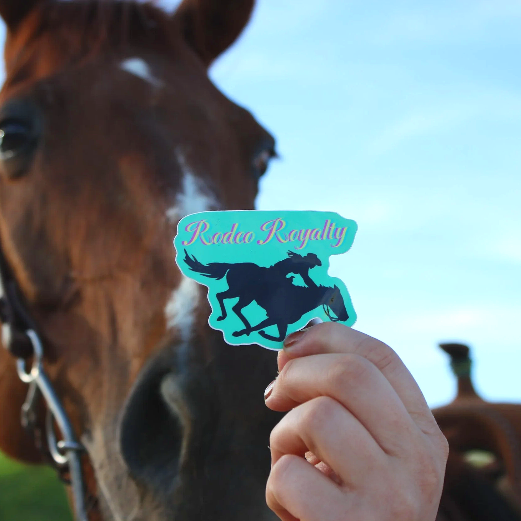 RR.stickerw%3Ahorse.png