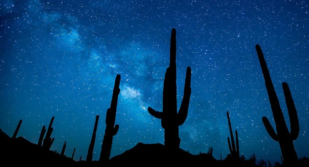 Silhouetted cacti under a starry night sky with the Milky Way galaxy.