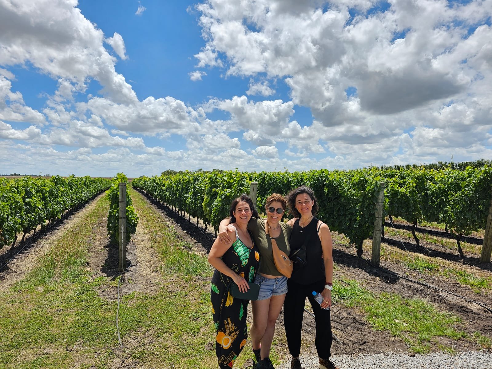 Uruguay wine tours offers wine tours from Buquebus in Colonia to Carmelo.