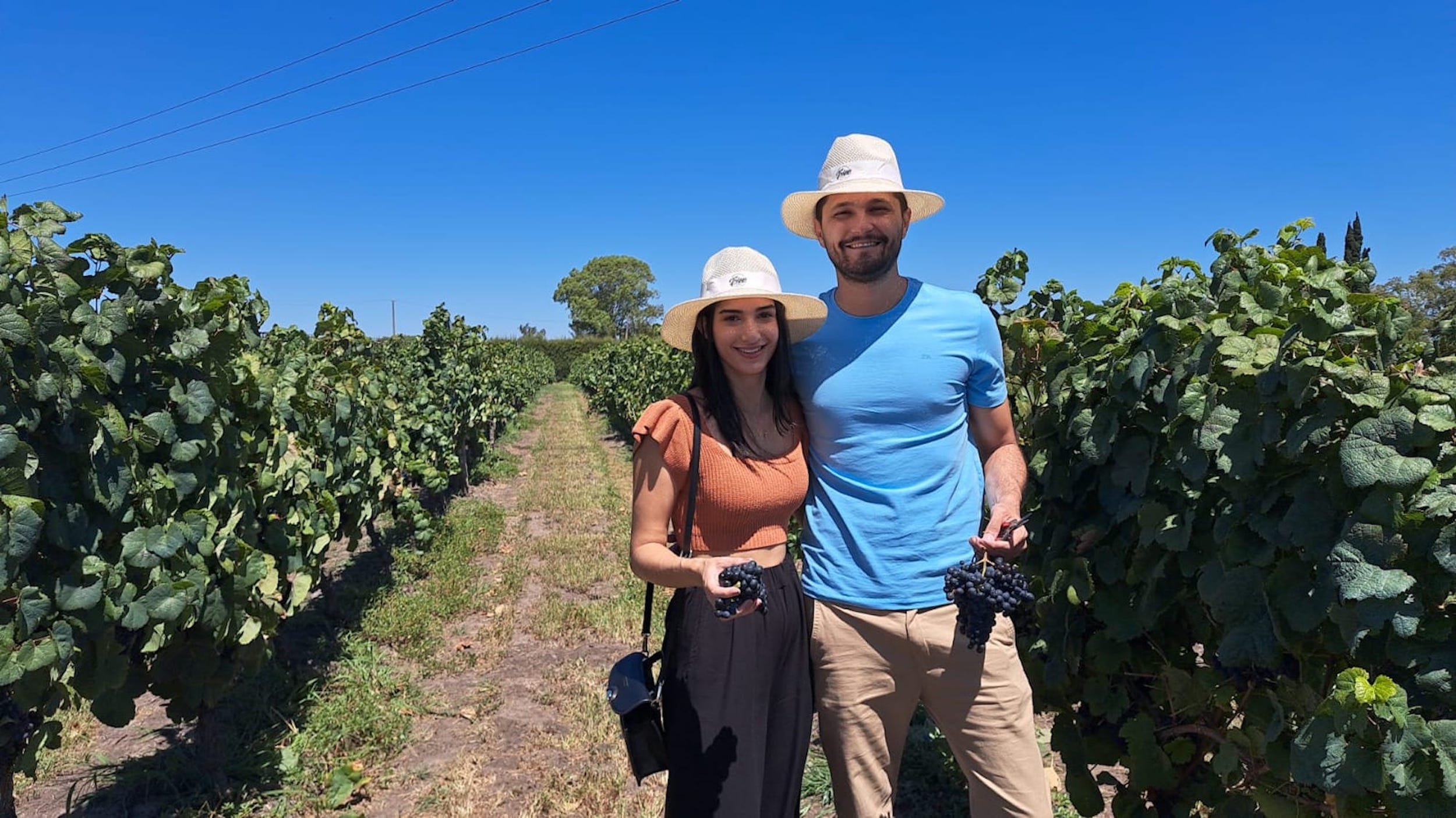 Uruguay wine tours offers wine tours in Colonia.