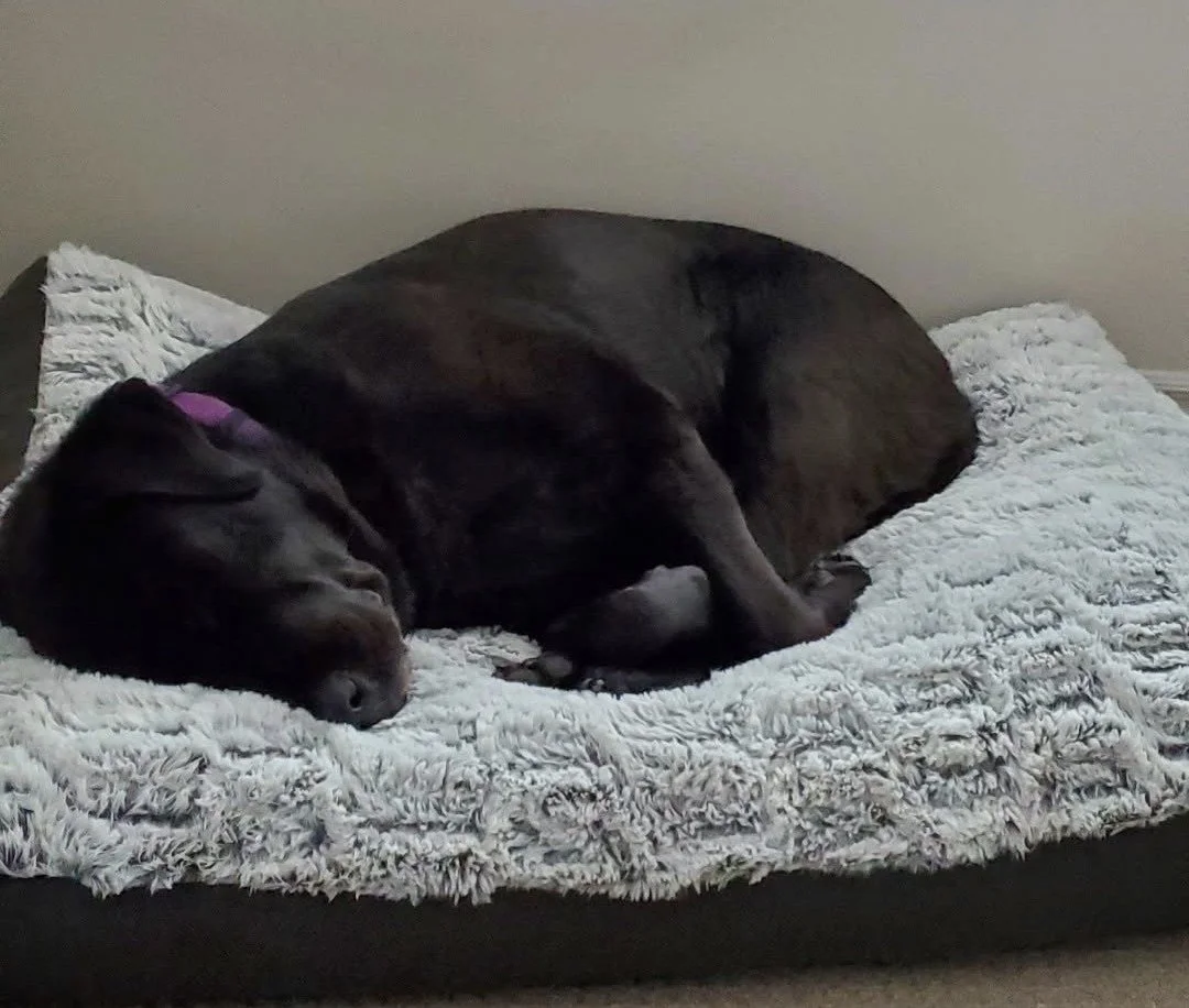 Diaphragmatic Breathing