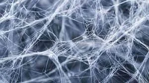 Understanding Fascia and Myofascial Release: A John F. Barnes Perspective