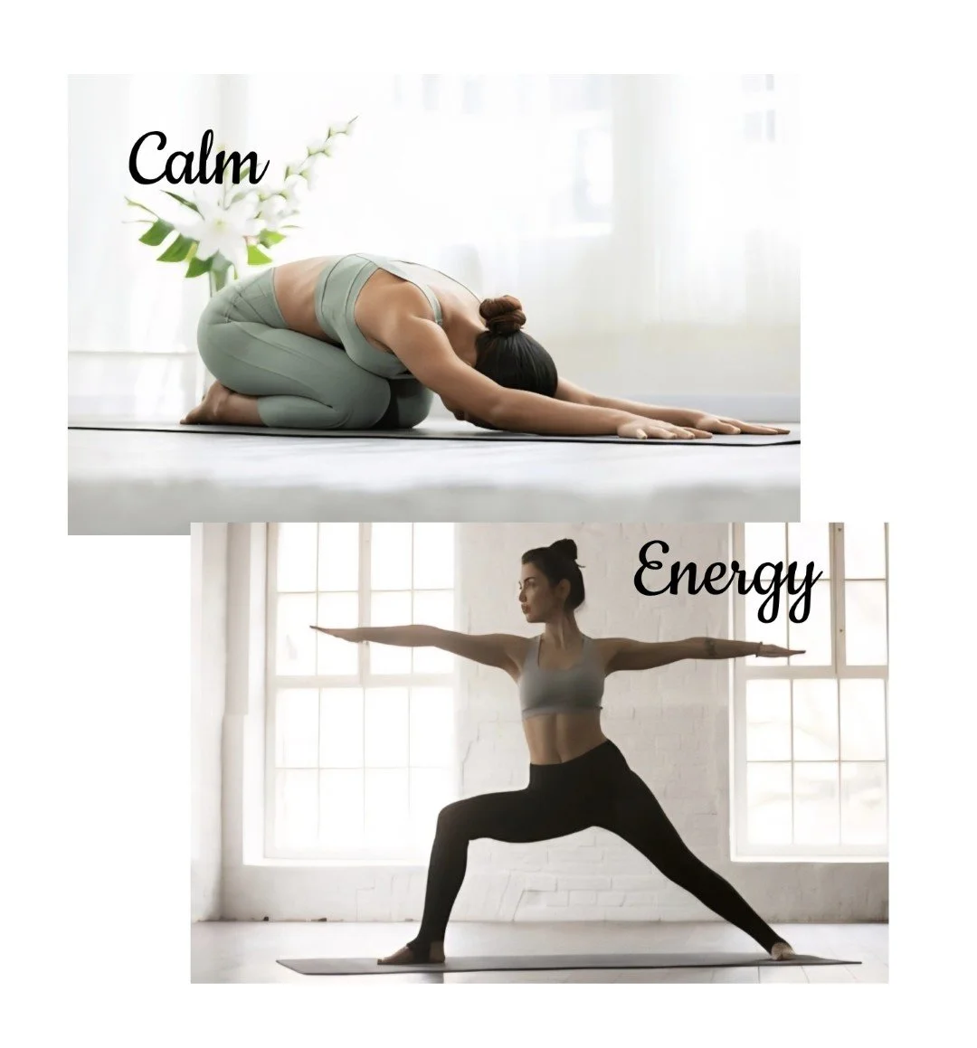 The Sympathetic and Parasympathetic Nervous System from a Yoga Perspective