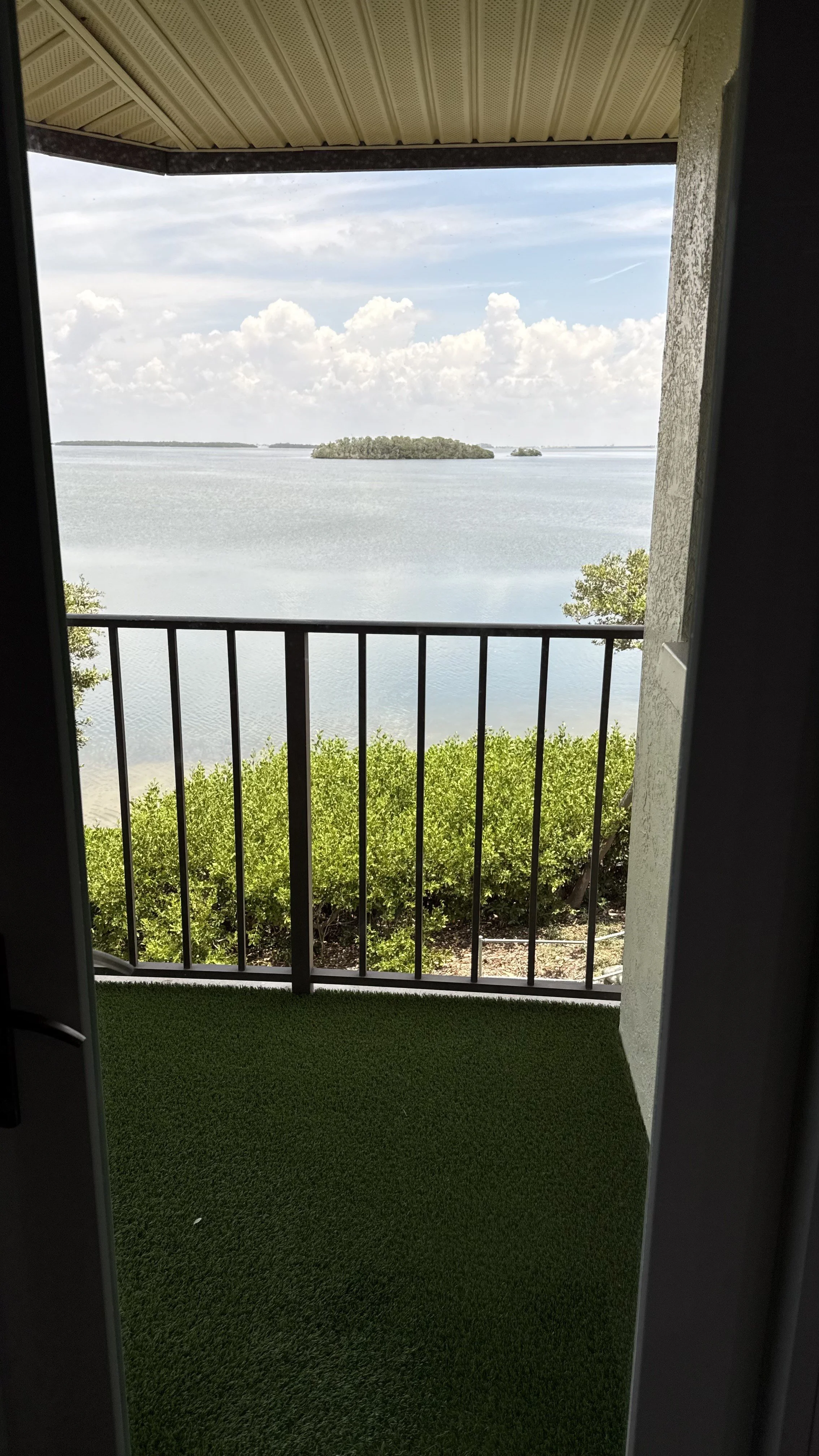 IMG_2719.jpeg