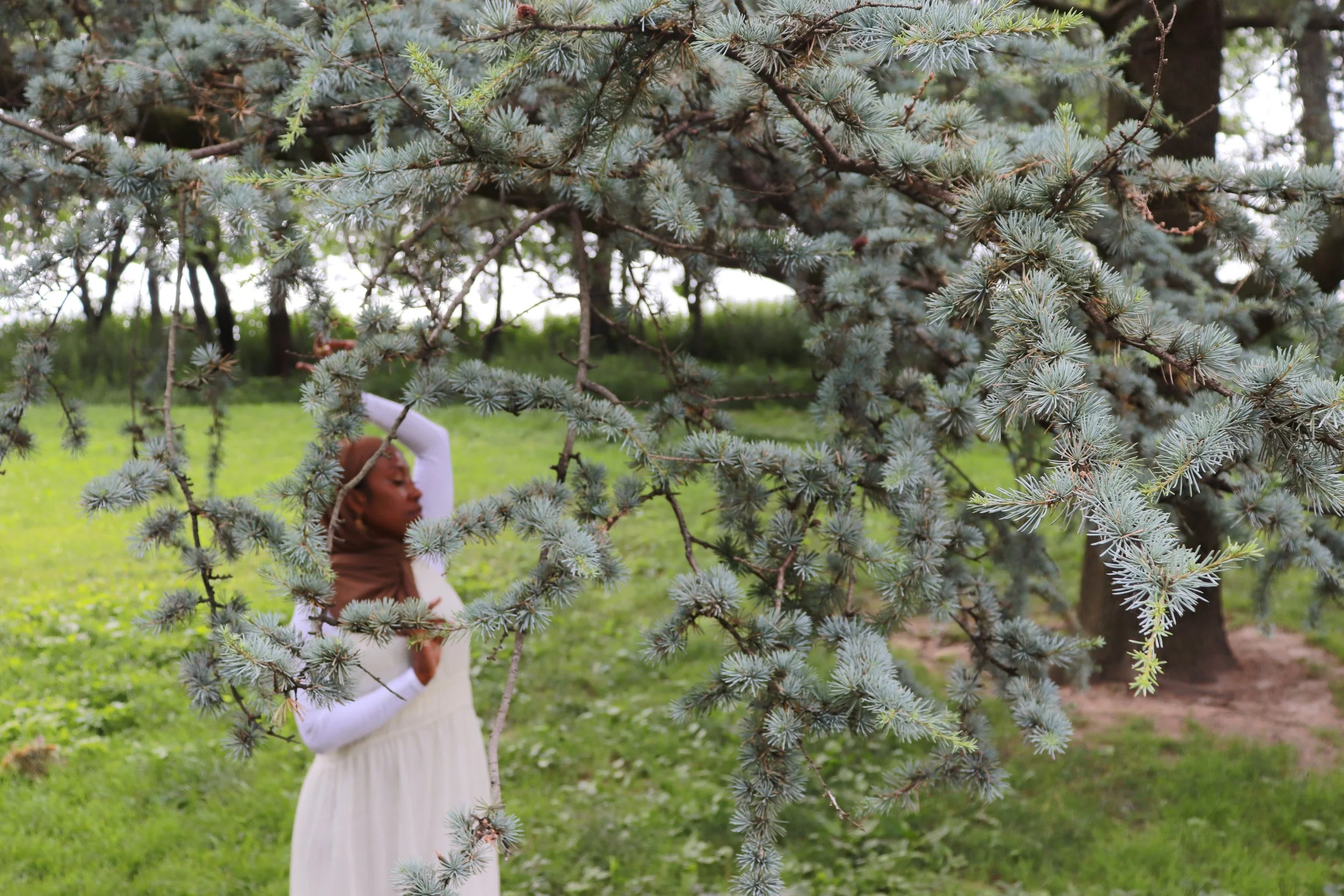 A woman wearing a white dress and brown headscarf standing outdoors behind a large blue spruce tree with her hand on her forehead, surrounded by green grass and other trees in the background.