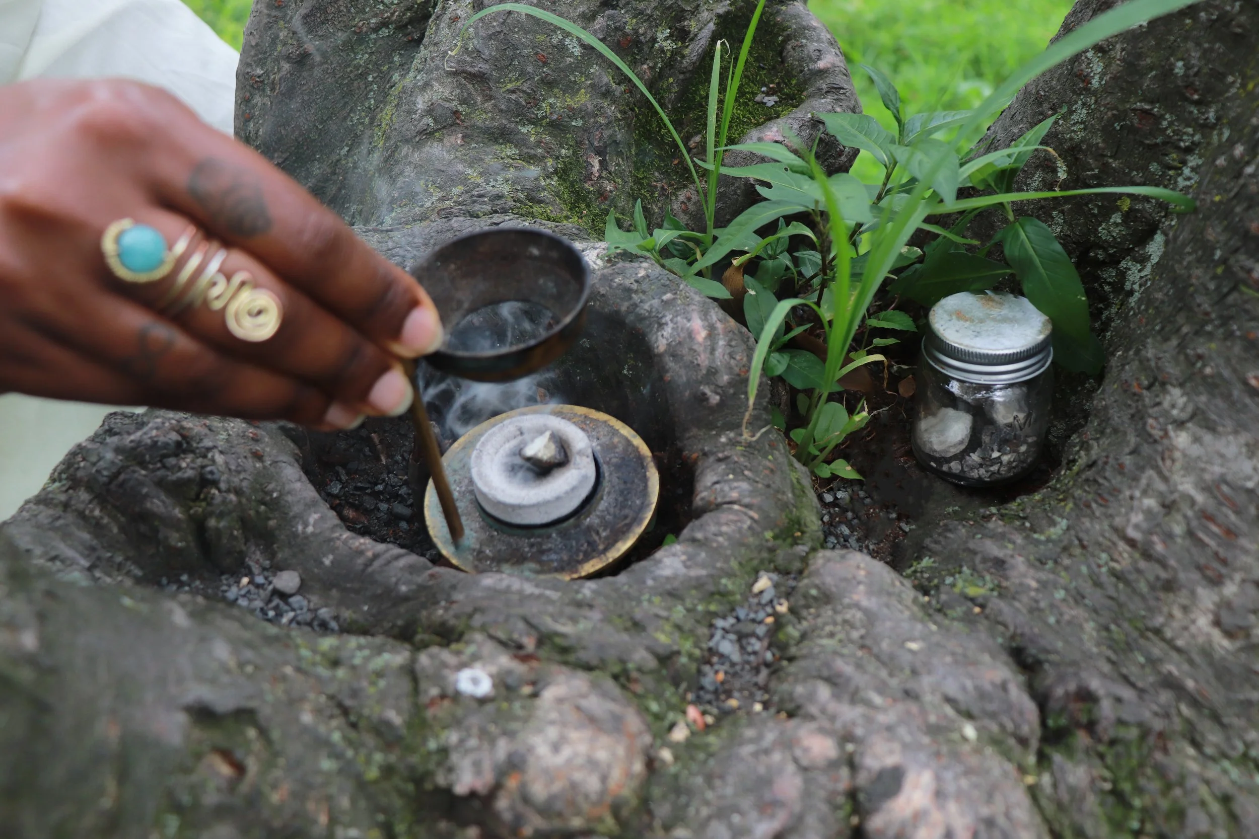 A person holding a small scoop of white powder over a round metal container inside a hollowed tree trunk, with green plants and a jar nearby.