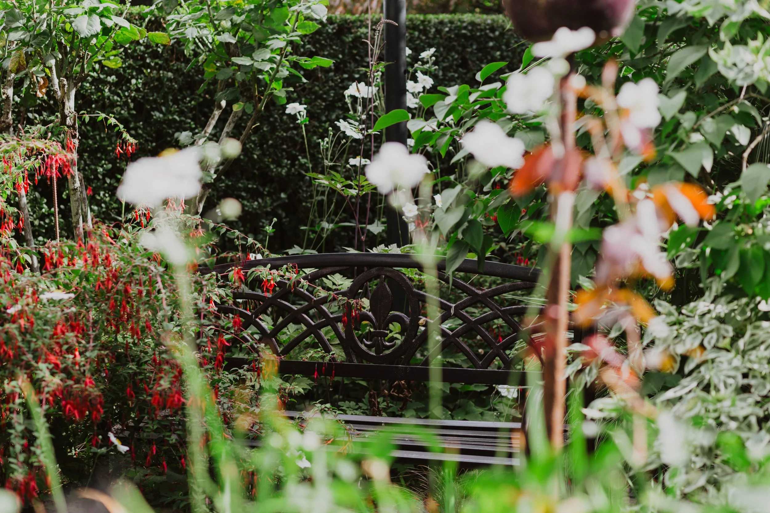 A black ornate park bench is surrounded by lush green plants and colorful flowers in a garden setting. Seattle, WA wedding photography.