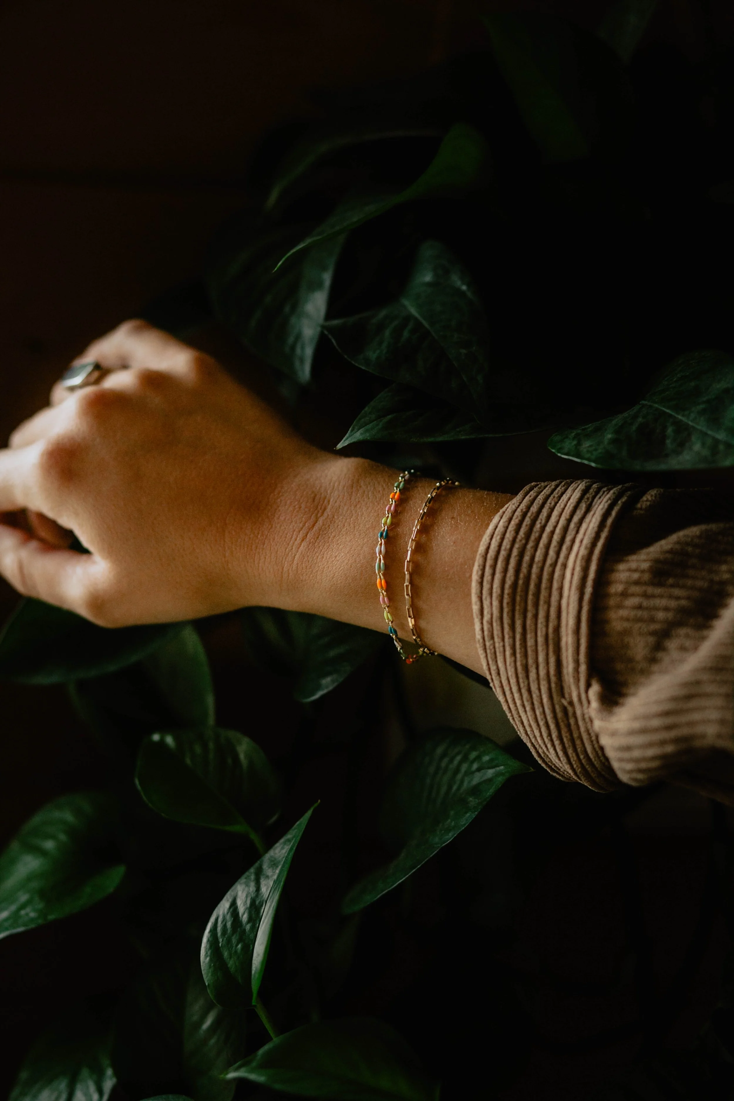 A person's hand and wrist with colorful beaded and gold chain bracelets, resting among dark green leaves of a houseplant, with a brown long-sleeve shirt sleeve partially visible. Seattle professional head shot photography