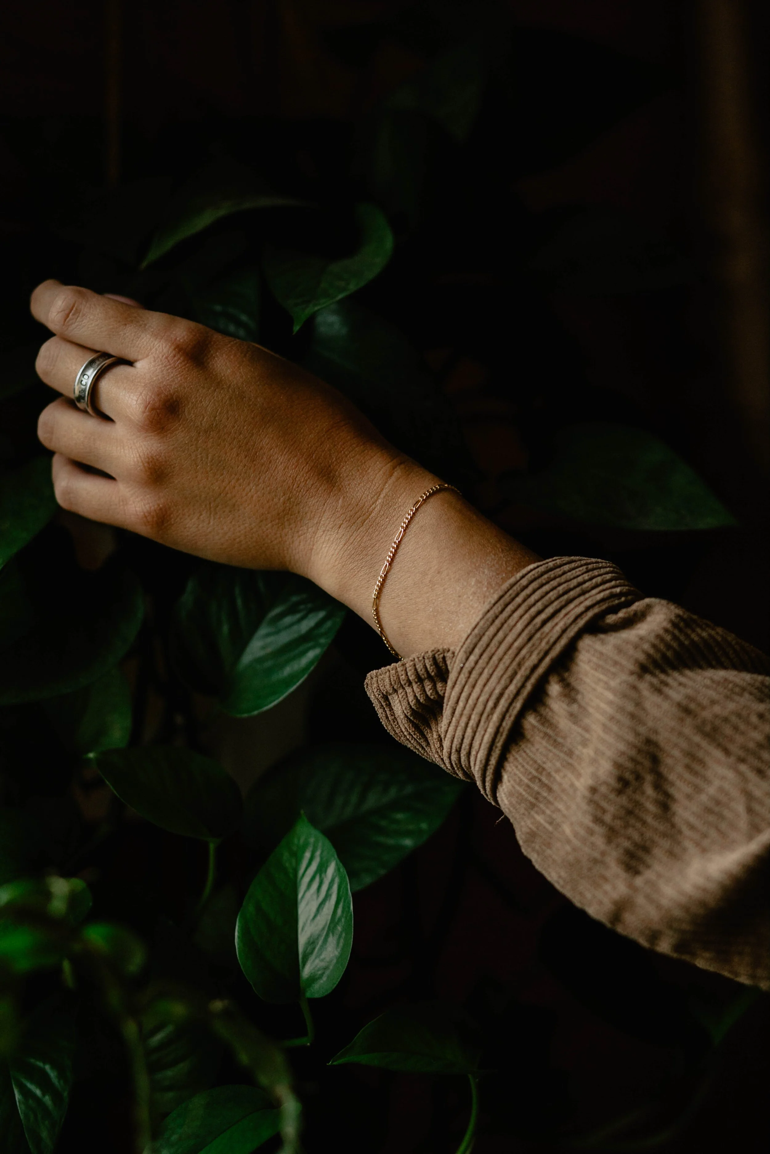 Close-up of a hand with a gold bracelet, a silver ring, and a brown sleeve, reaching towards green leaves in a dark setting. Seattle professional head shot photography