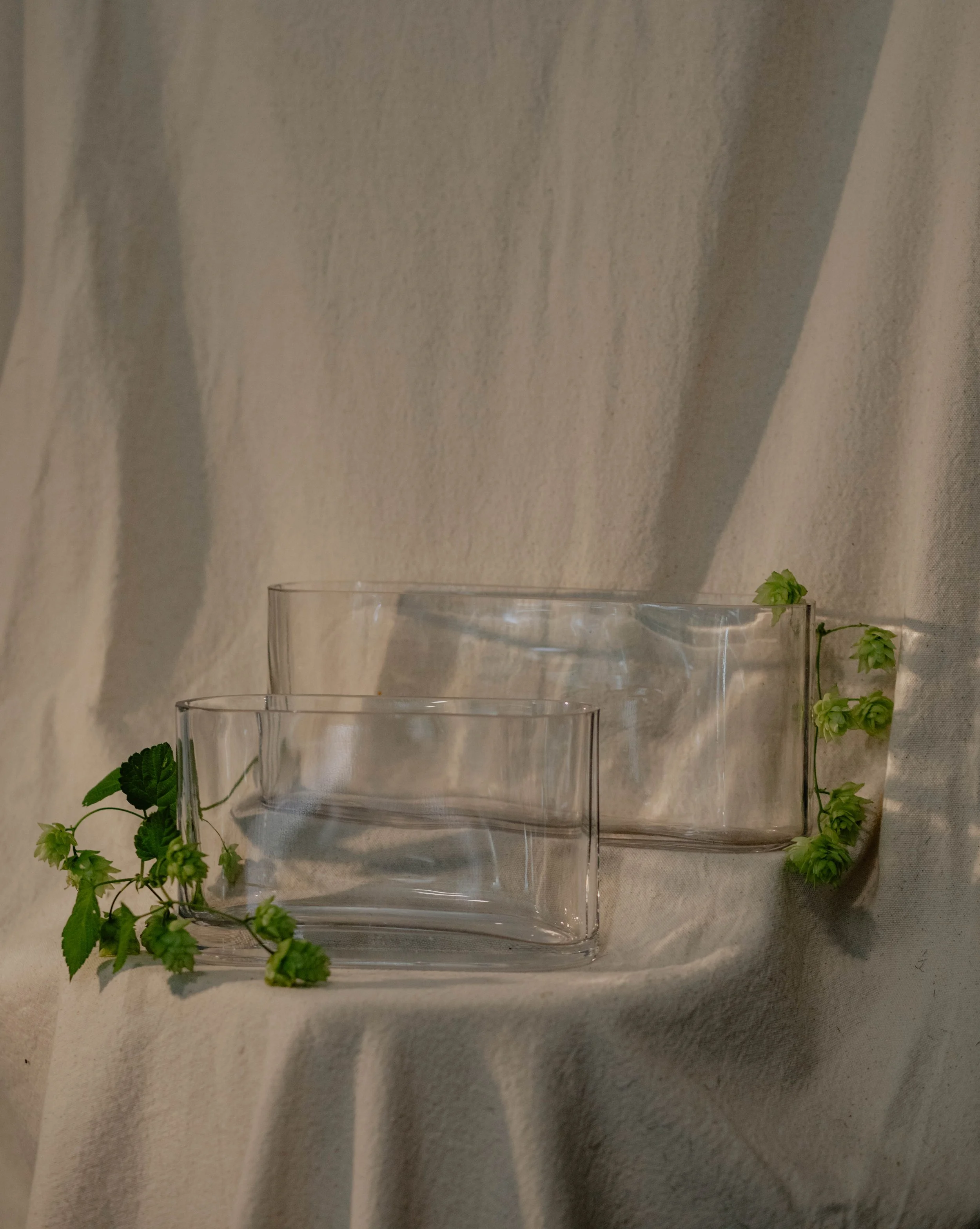 Two clear glass bowls, one larger and one smaller, with sprigs of green leaves and small green buds draped over the edges, set against a neutral fabric backdrop.  Seattle product photography