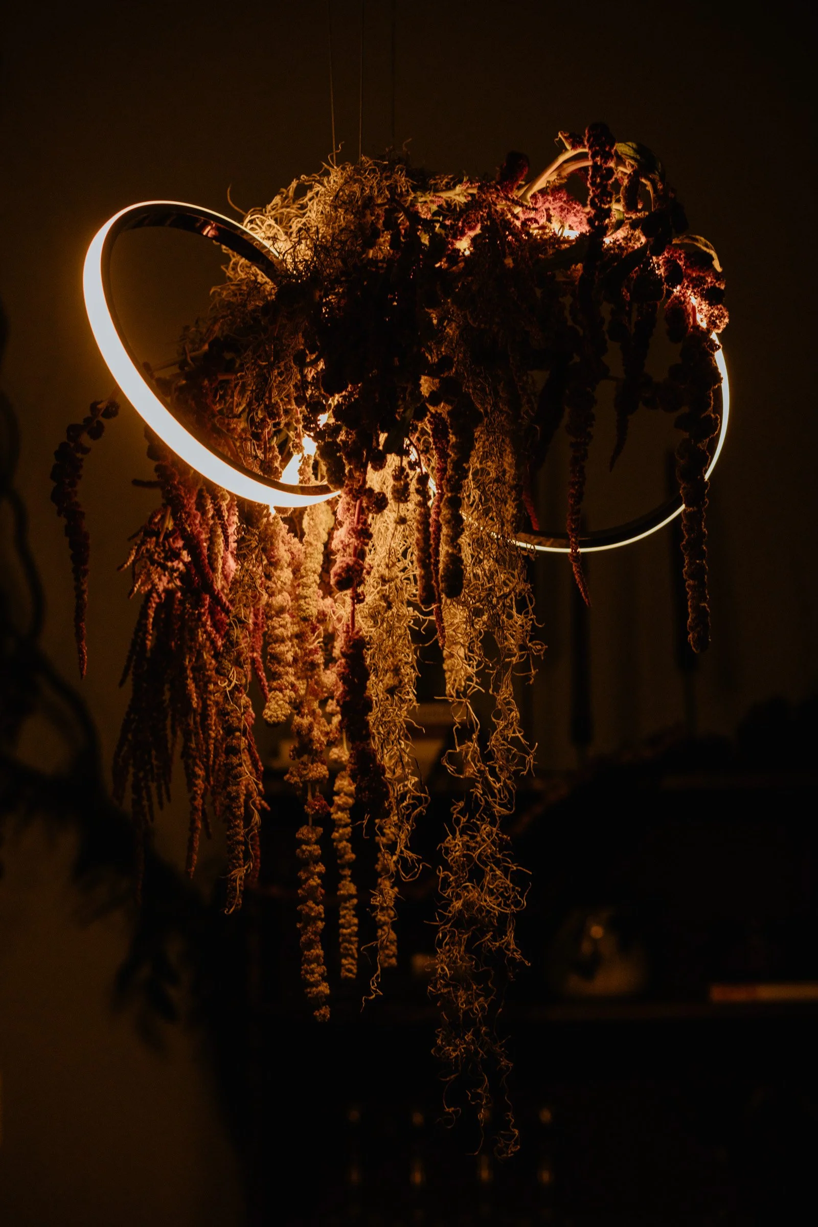 Amaranth floral structure design on a light fixture for a Seattle halloween weekend wedding