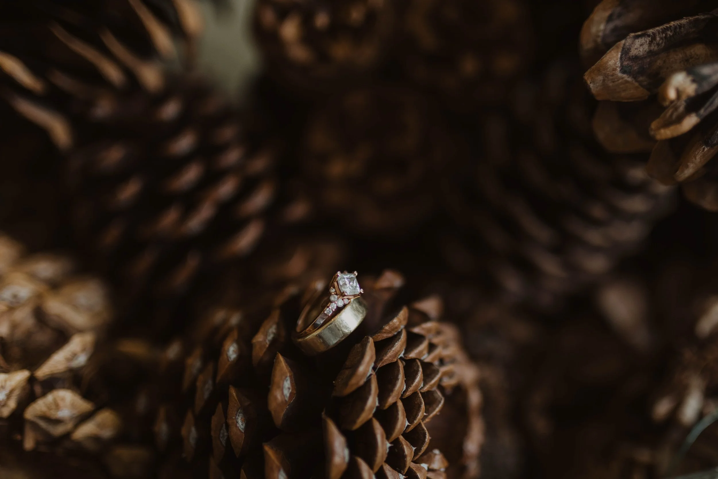A diamond engagement ring with a square cut center stone and smaller diamonds on the band, placed on a pinecone. Seattle, WA wedding photography.