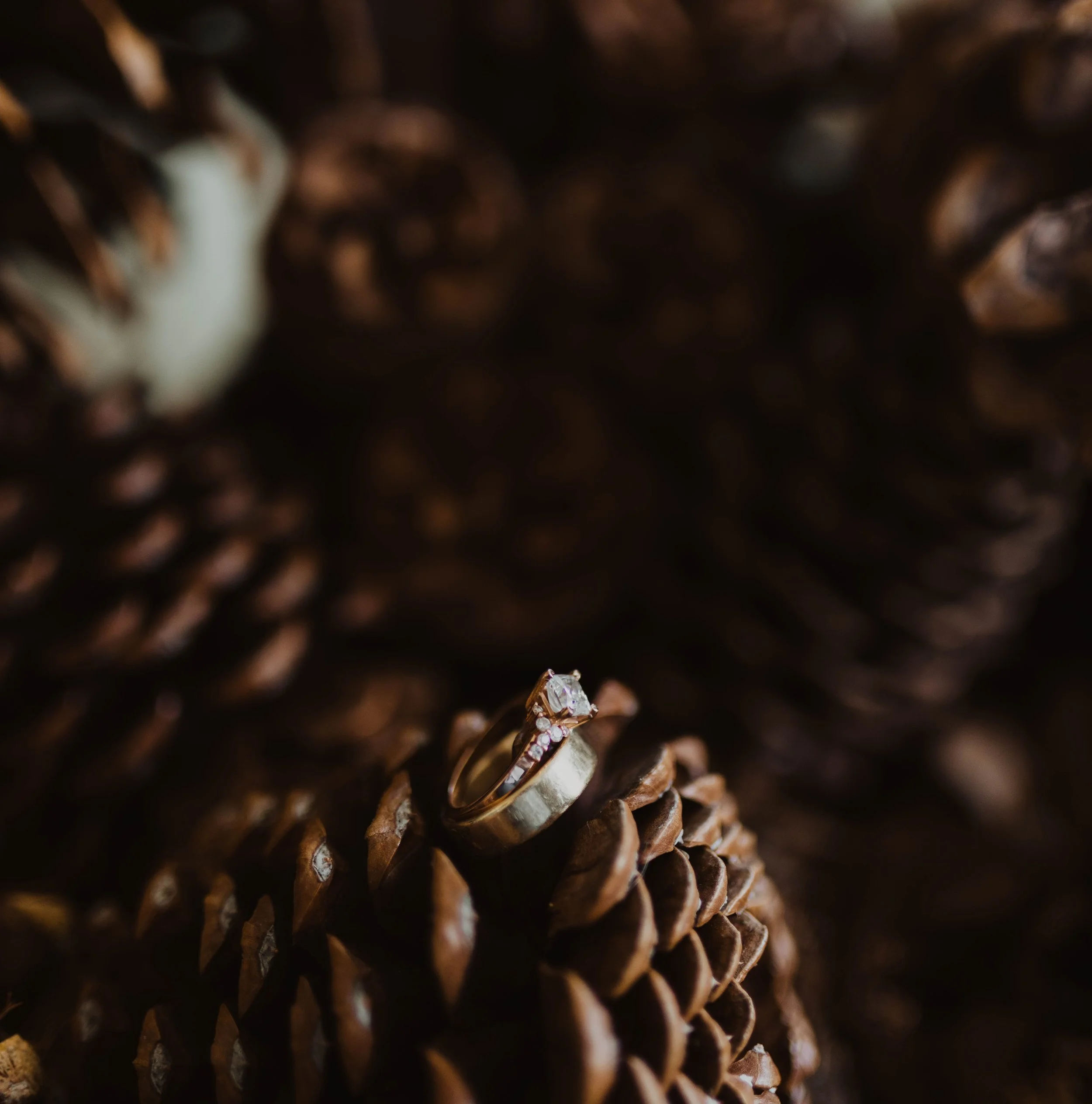 A diamond engagement ring with a central oval diamond and smaller side diamonds is placed on a pine cone. Seattle, WA wedding photography.