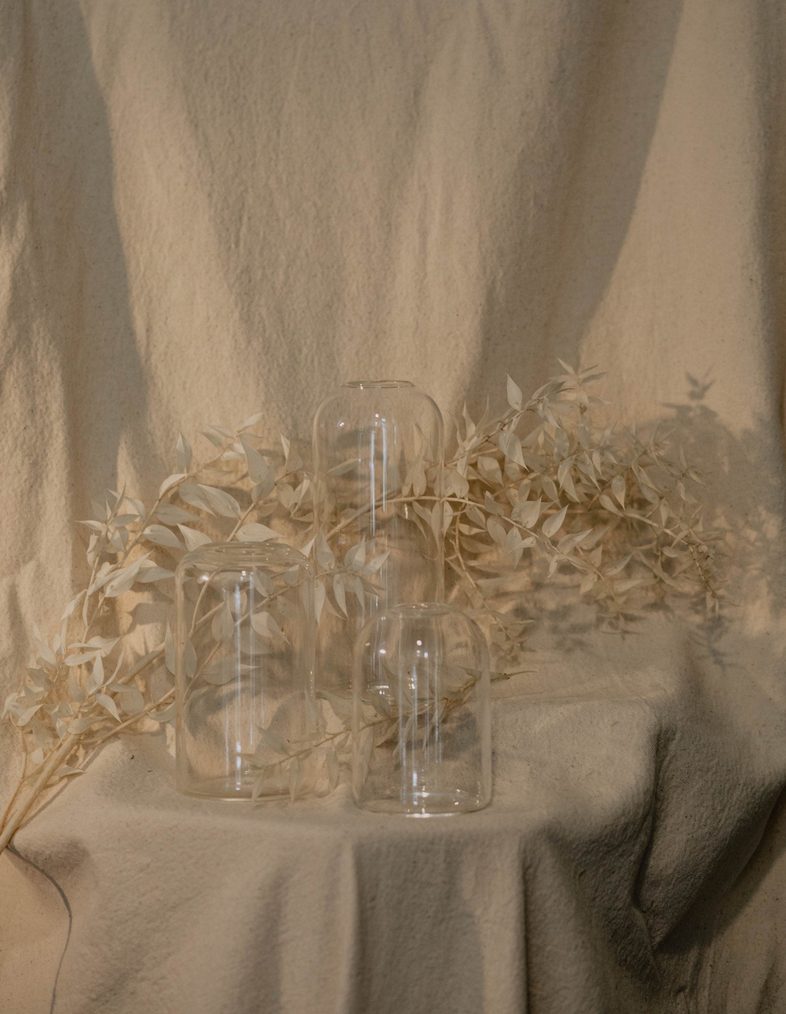 Three empty transparent glass vases on a beige fabric surface with dried beige leaves and branches behind them.  Seattle product photography