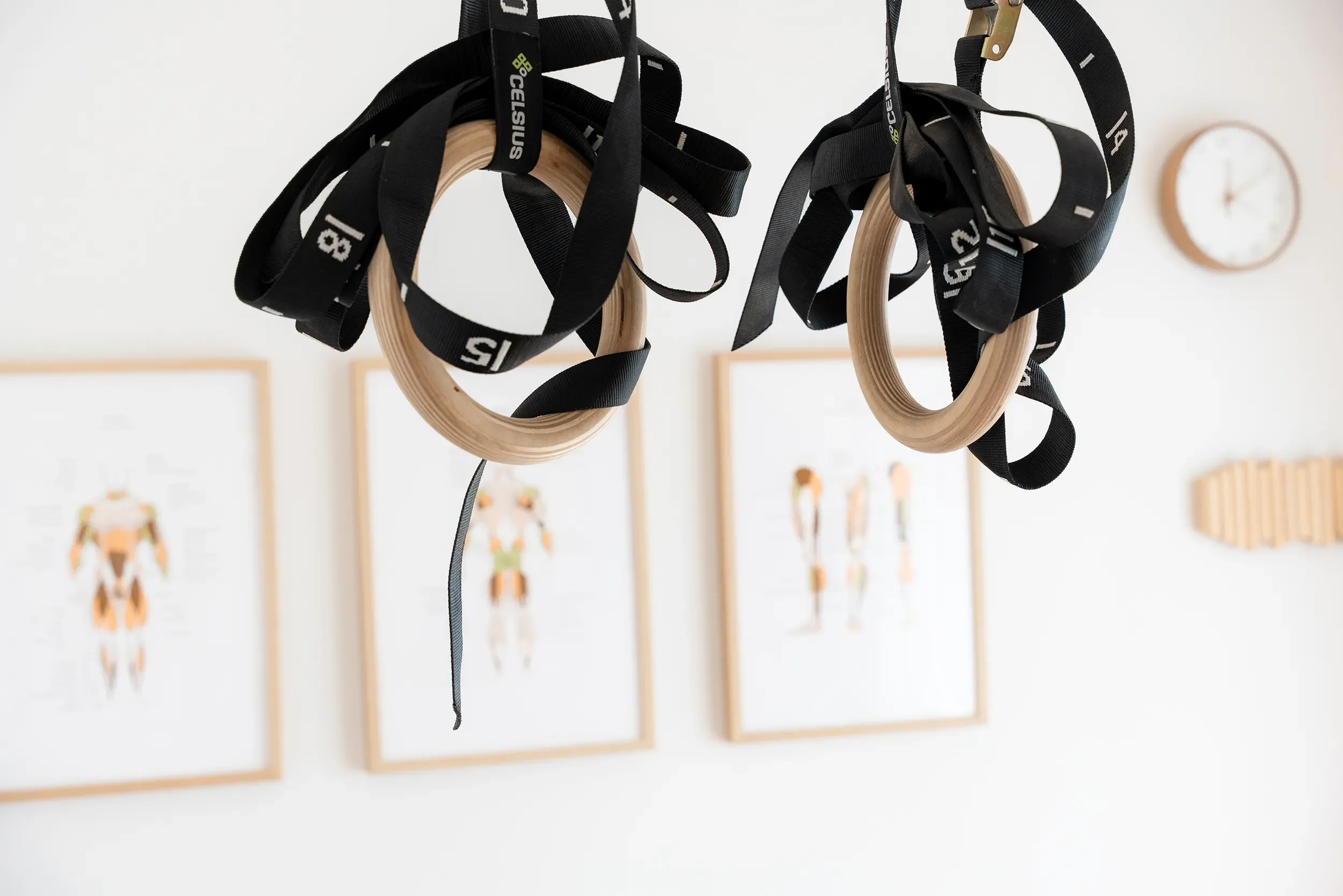 Close-up of gymnastic rings and adjustable straps hanging in Tegan Duncan’s Clinical Pilates studio, with anatomical artwork in the background.