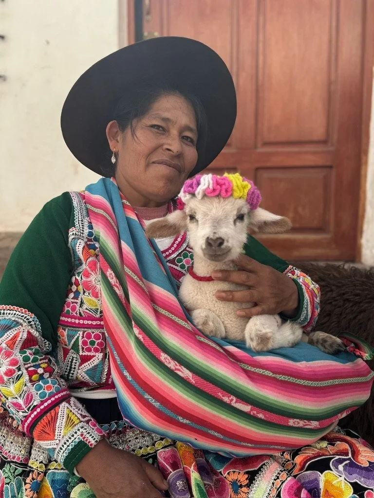 Baby Goat in Cusco 